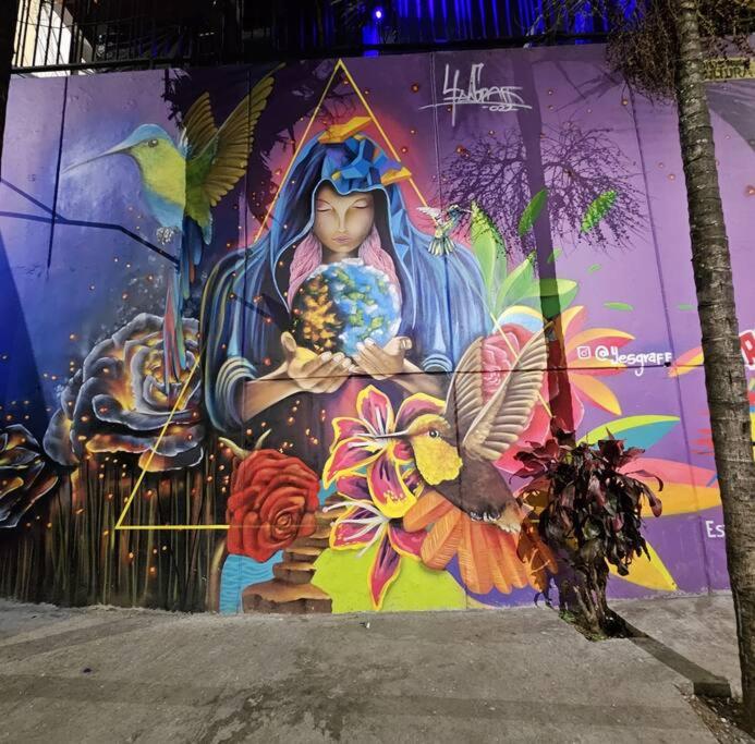 Color House La 13