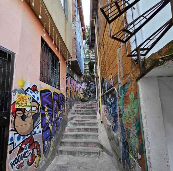 Color House La 13
