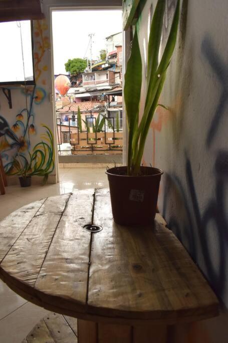Color House La 13