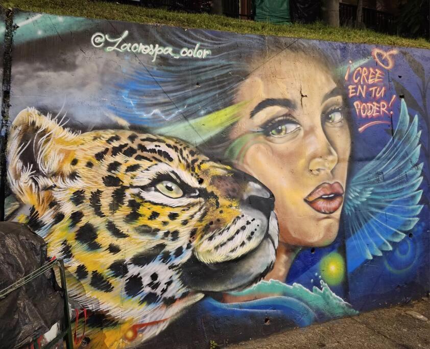 Color House La 13