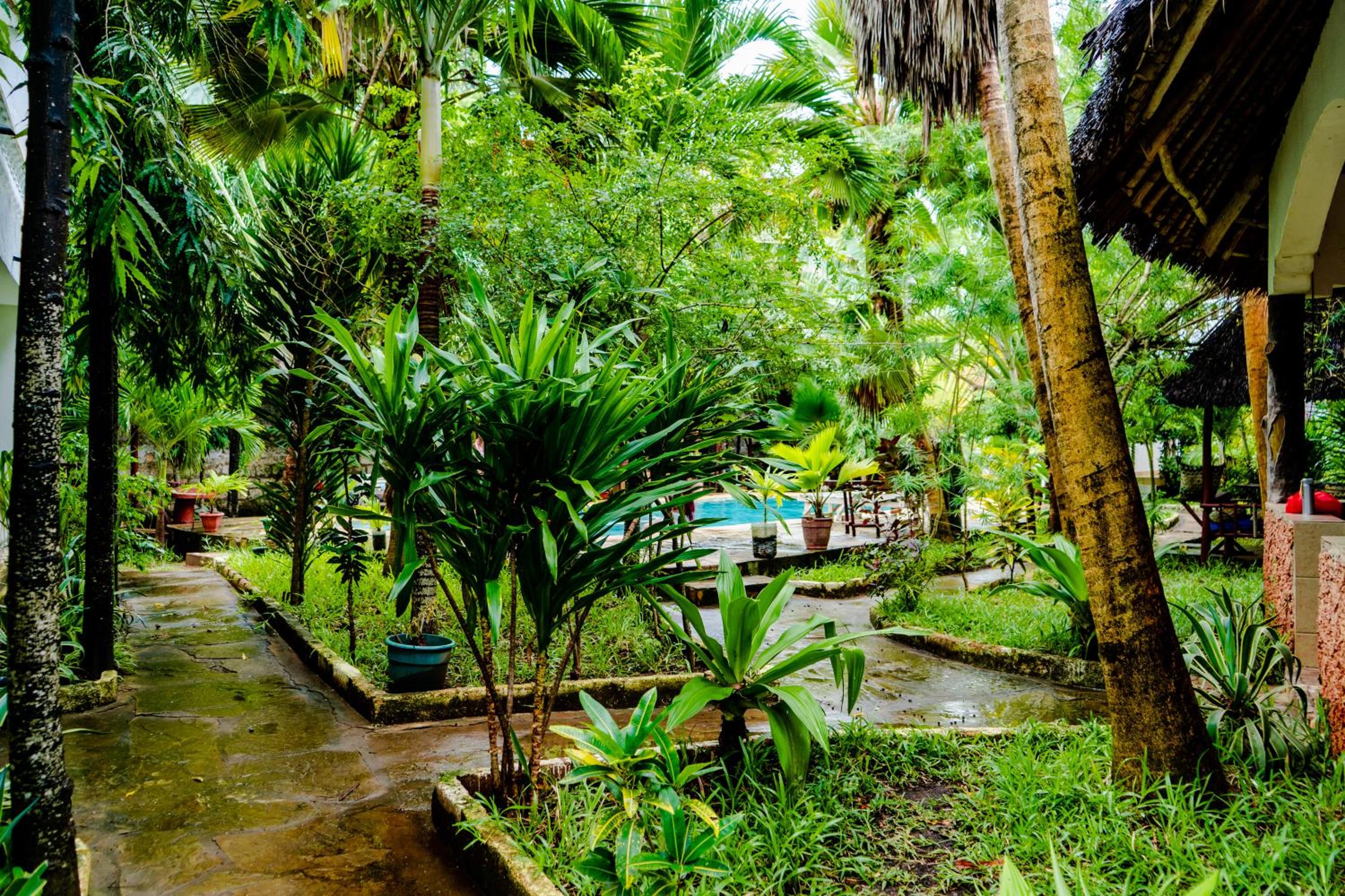 Ukunda Vacations - Serene Bliss Studio - Diani - Property Image 7