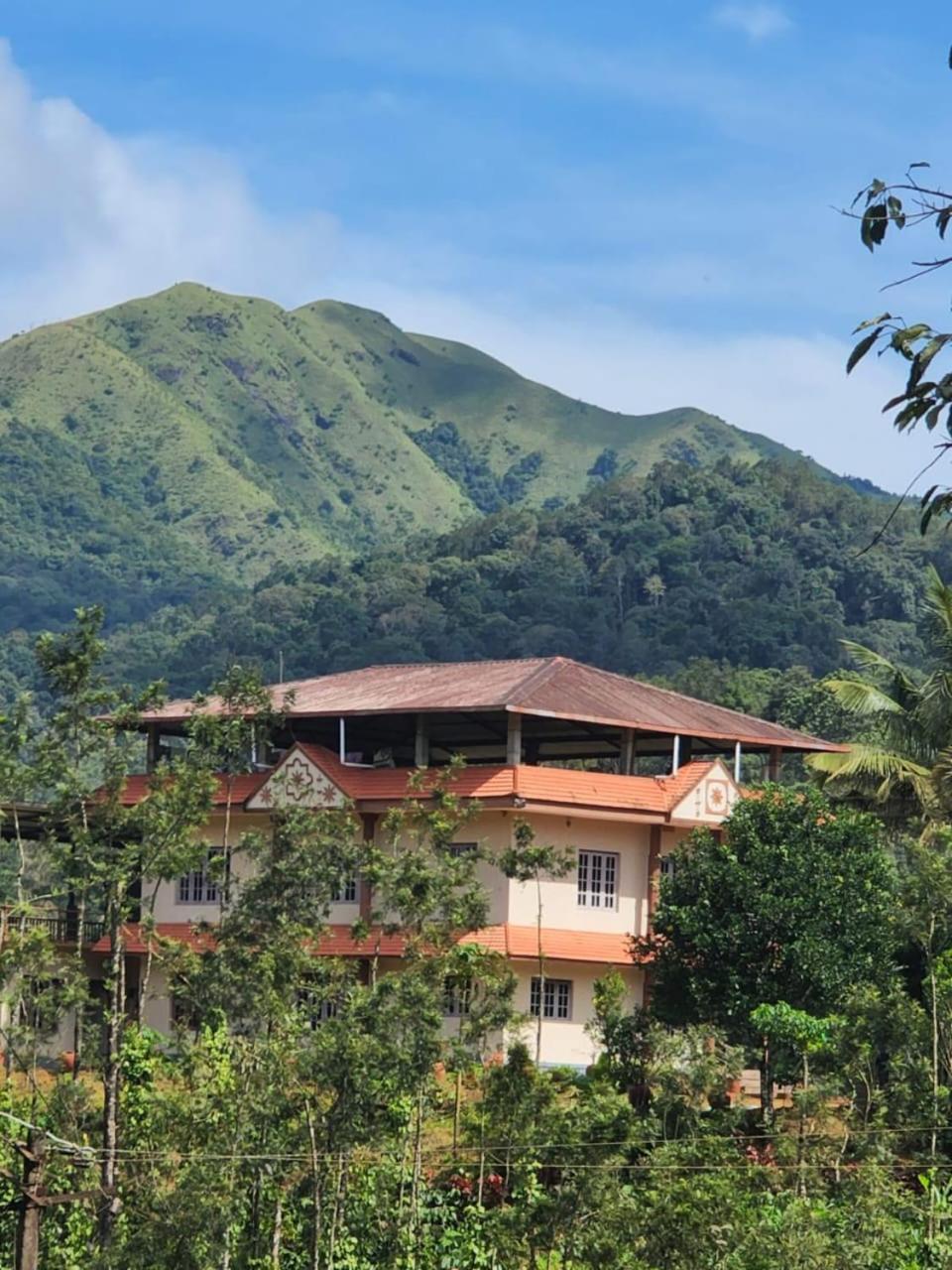 Jungle view Homestay