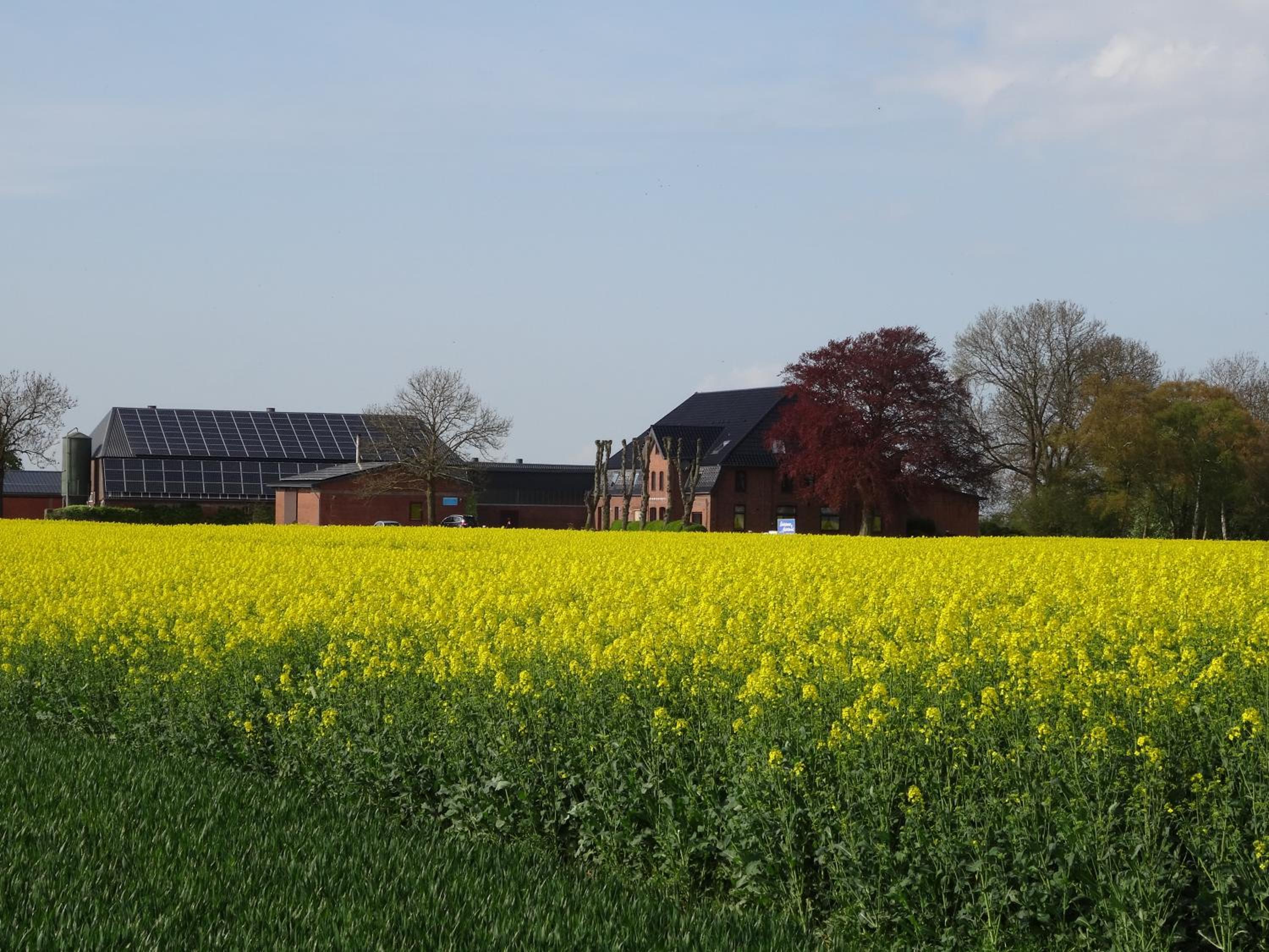 Gästezimmer & Appartement Elskop