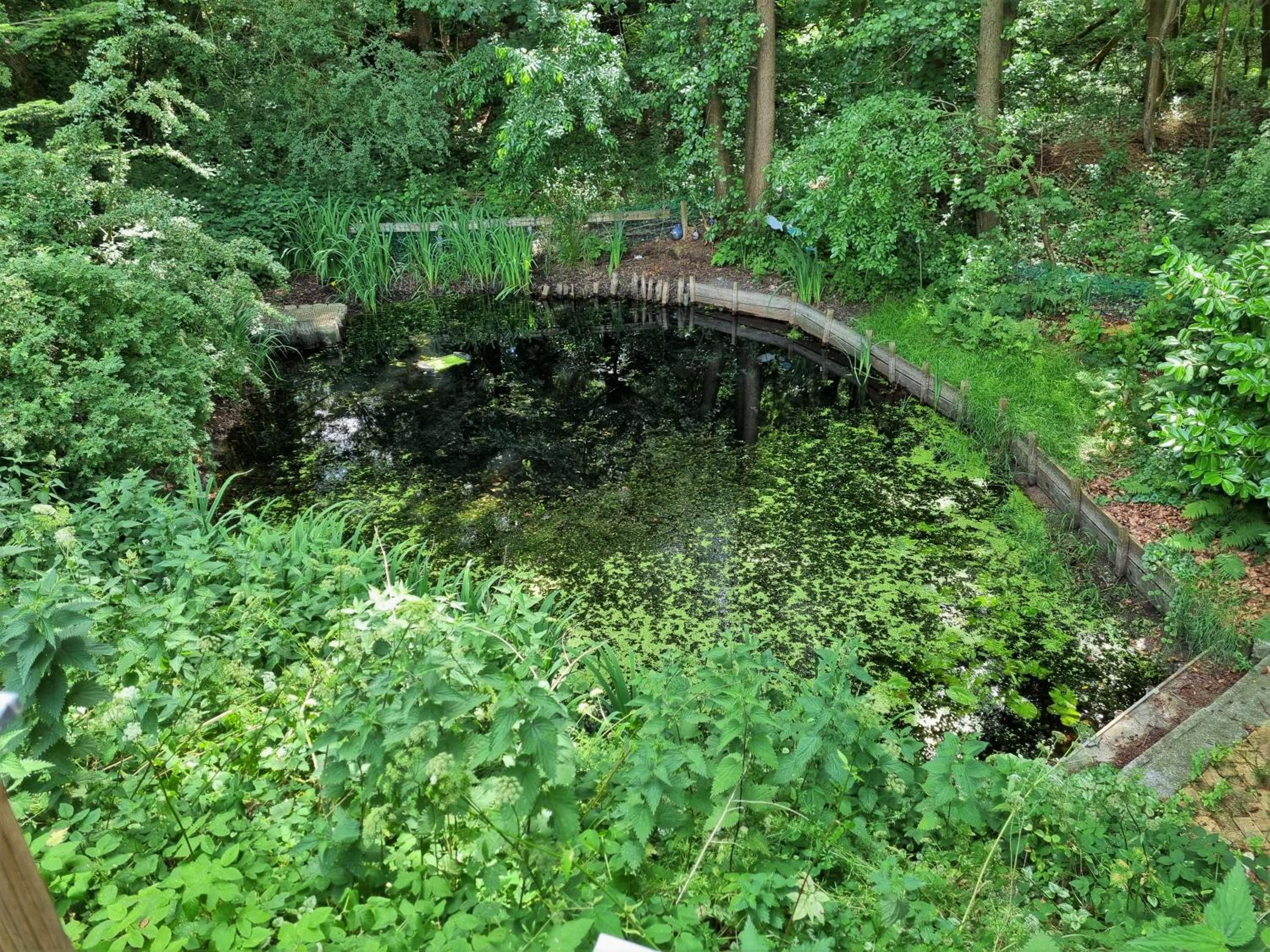 Ferienhaus Paulsen