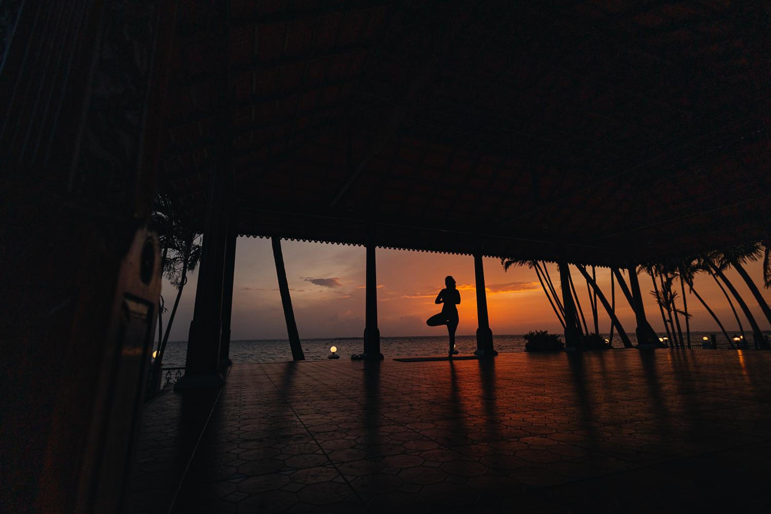 Cocobay Resort Kumarakom view 3