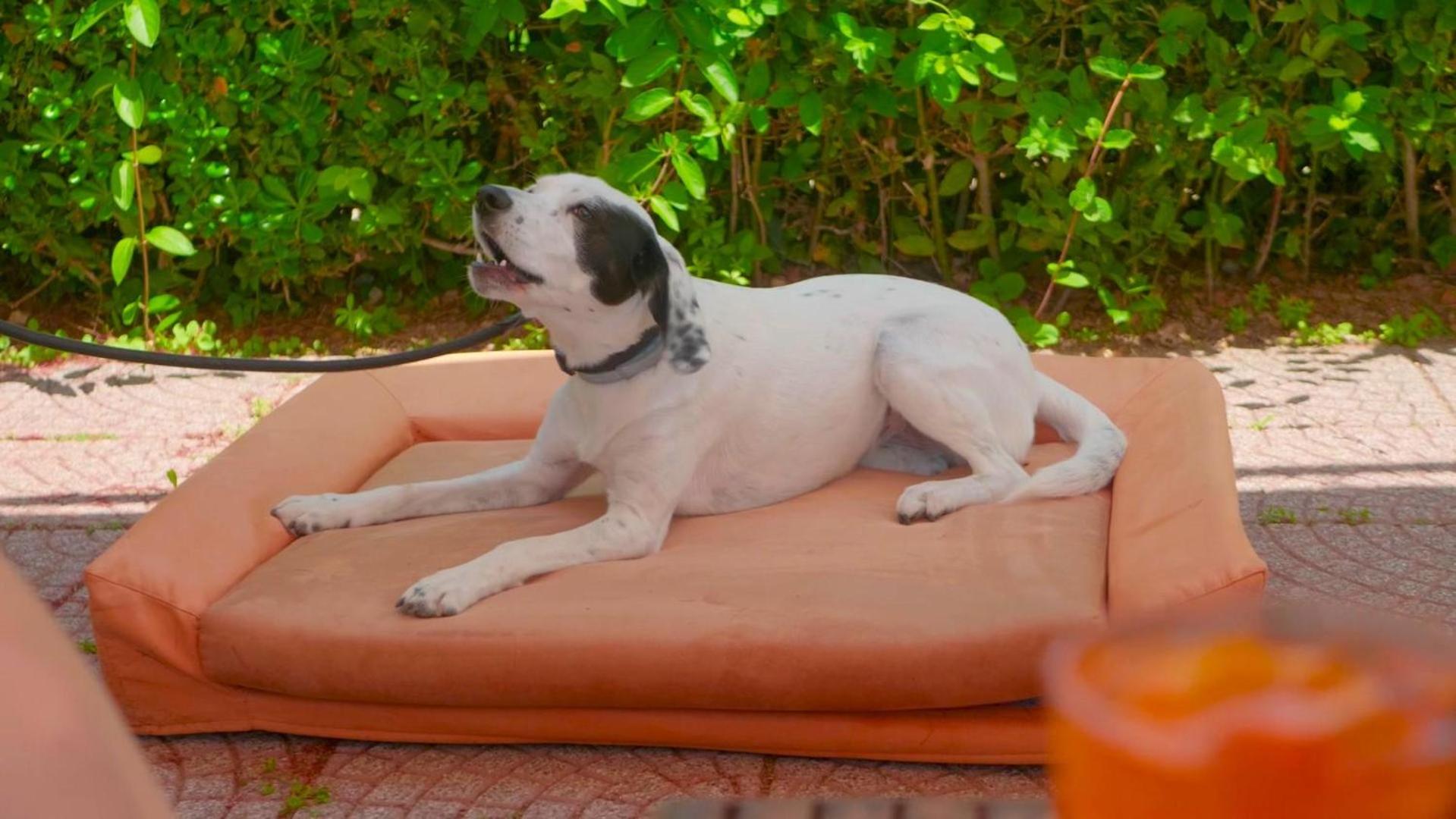 Argentario Osa Resort - Property Image 14