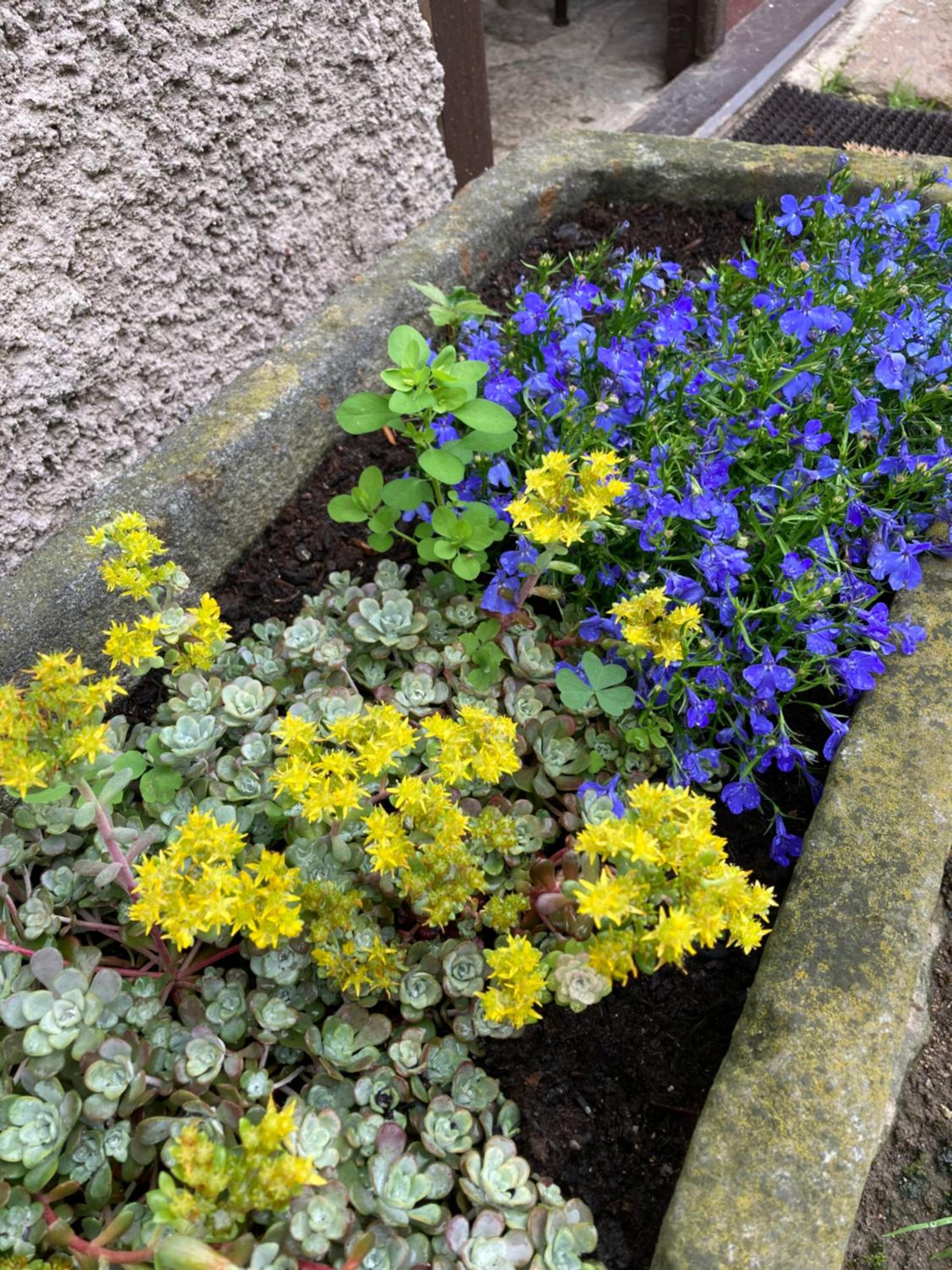 Photo 46
