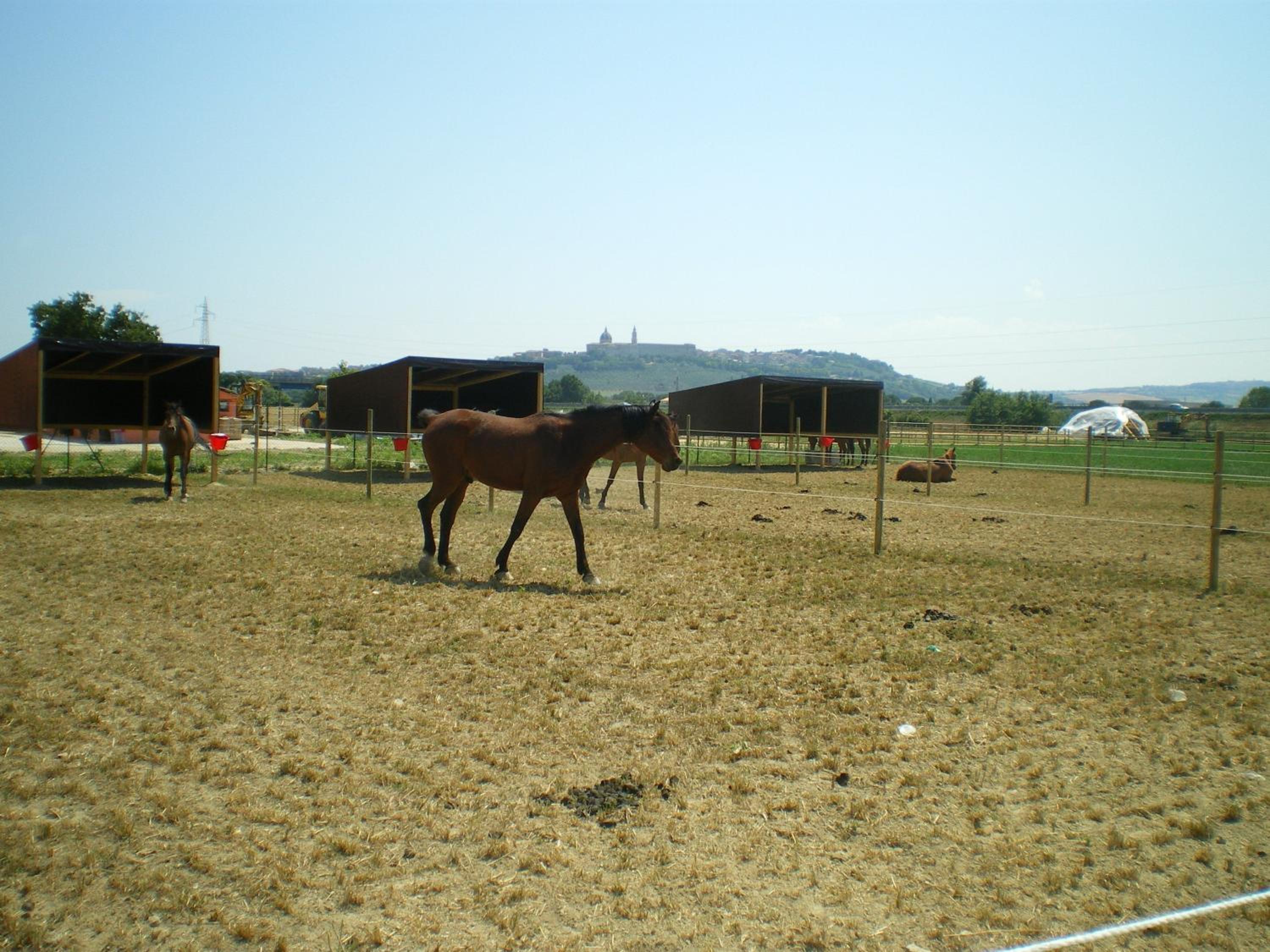Conero Ranch