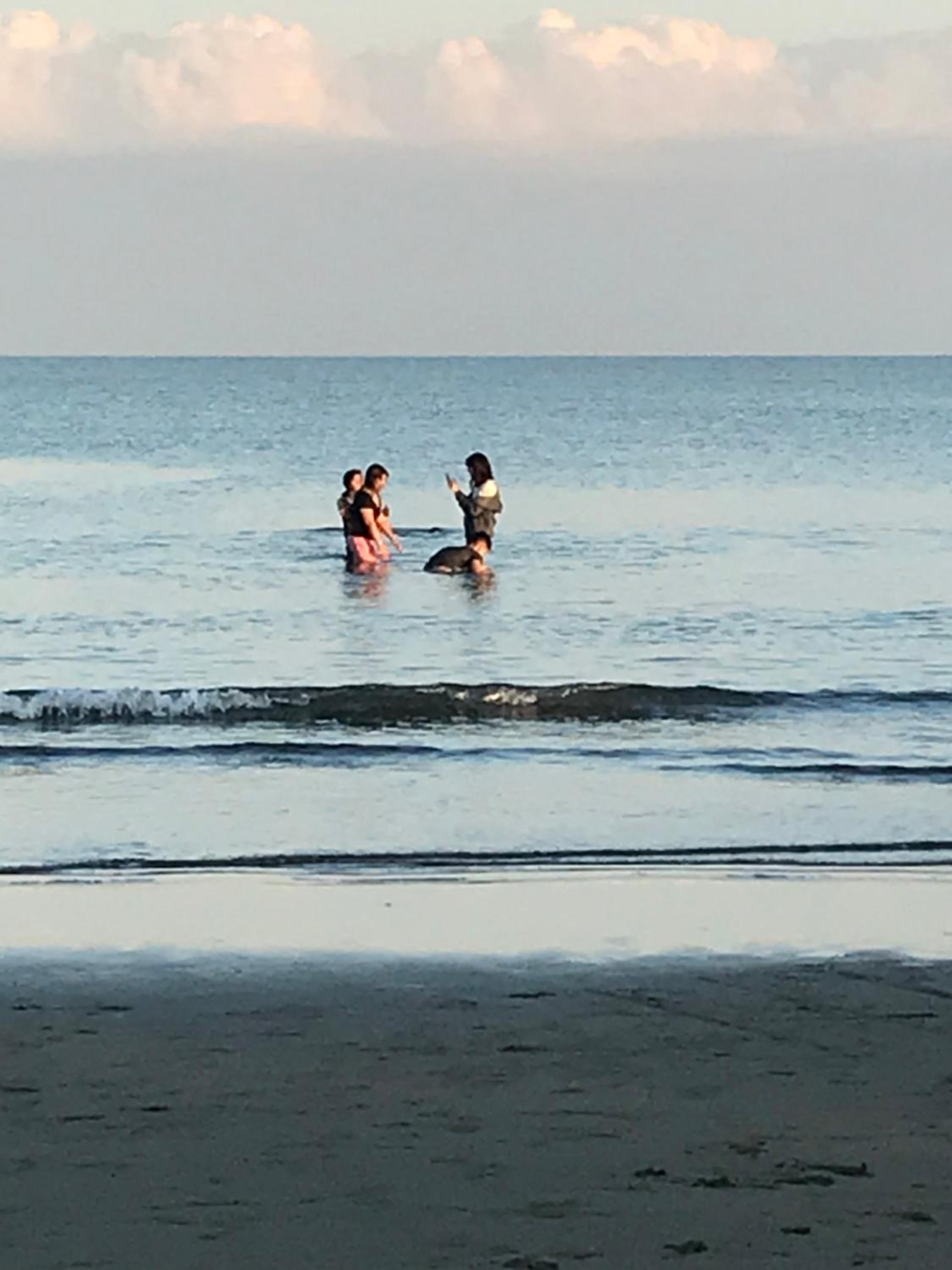 Seaside Beach Resort