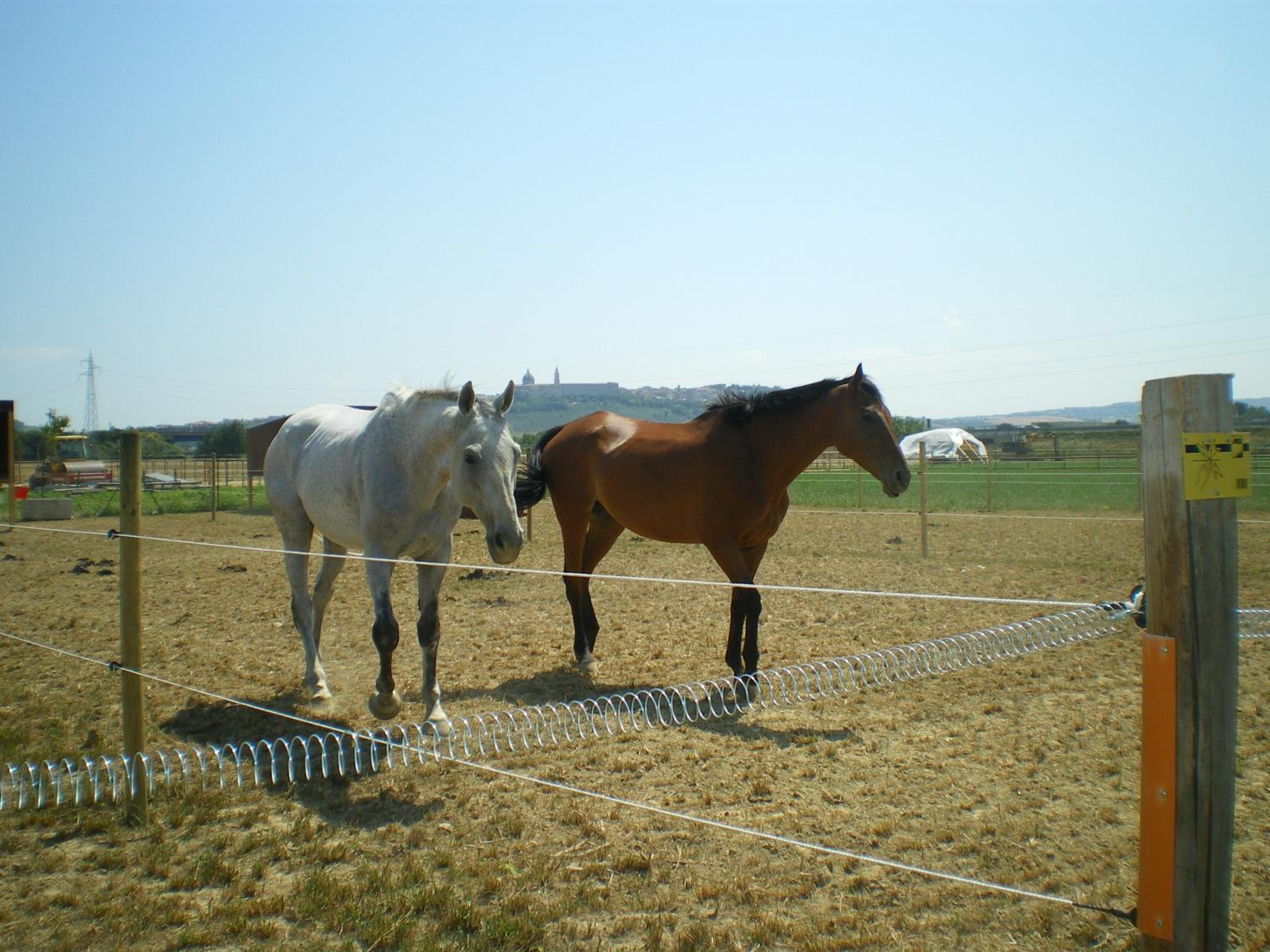 Conero Ranch
