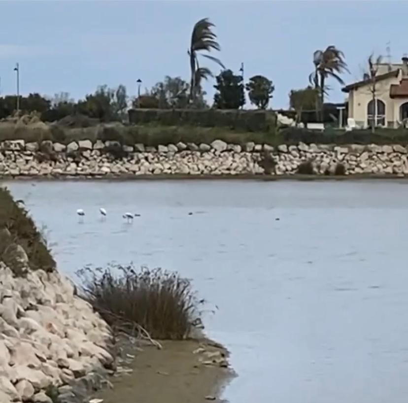 Villa -Resort Marinagri