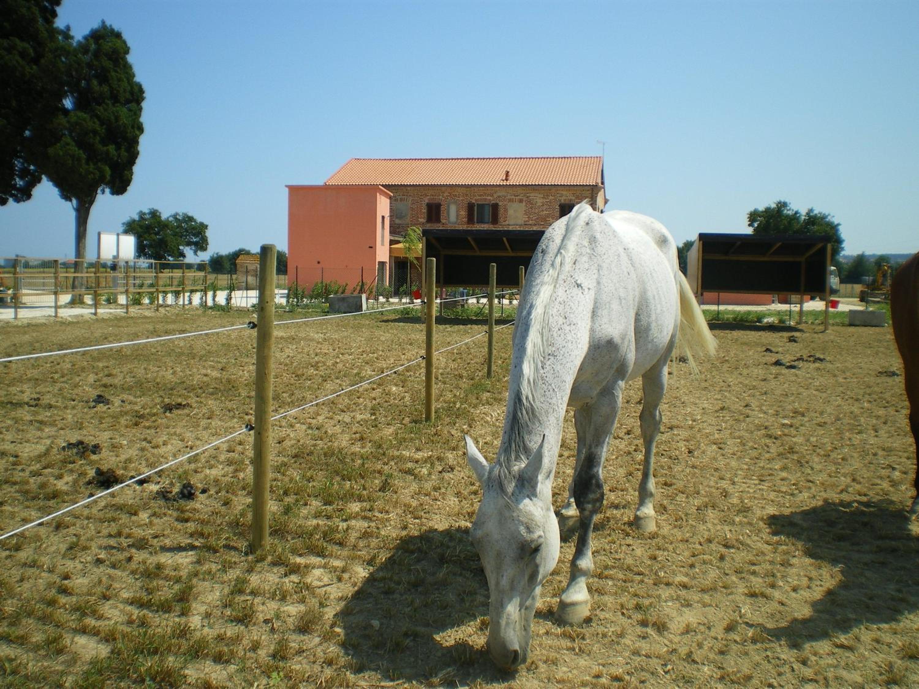 Conero Ranch