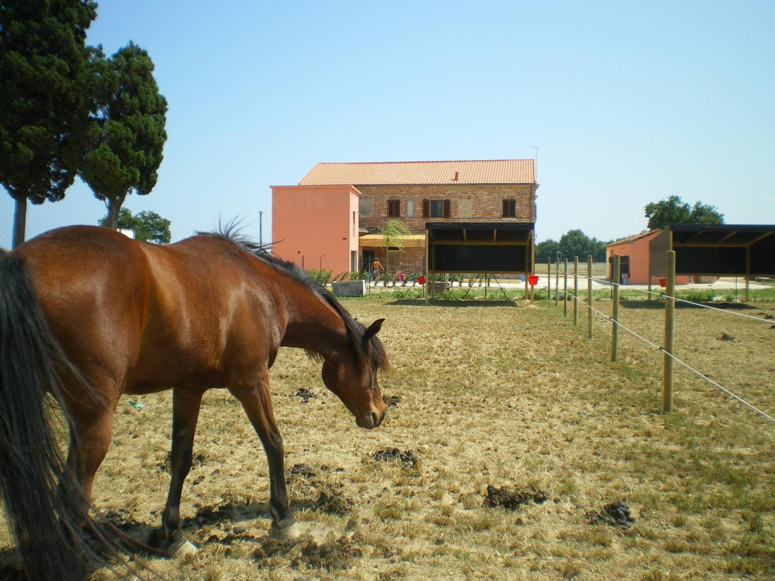 Conero Ranch