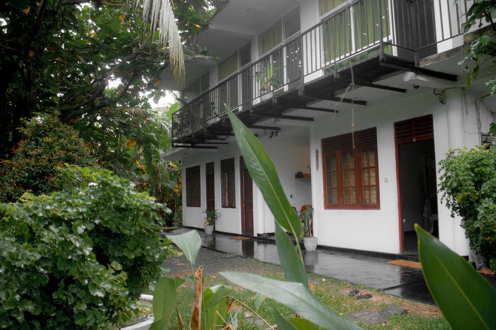 Bananas Mirissa
