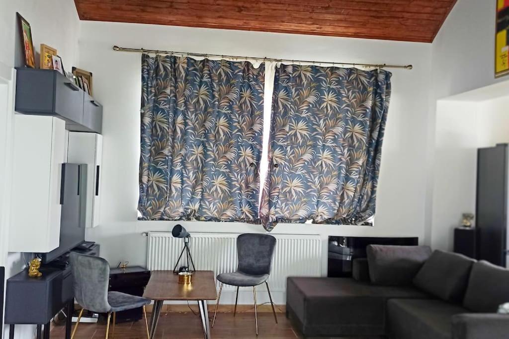 Casa Albă Tunari view 4