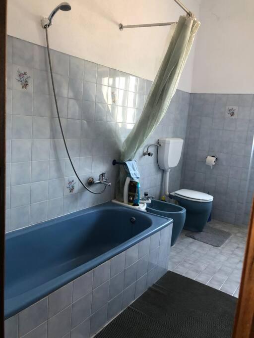 Aires Orchard Holiday Apartment