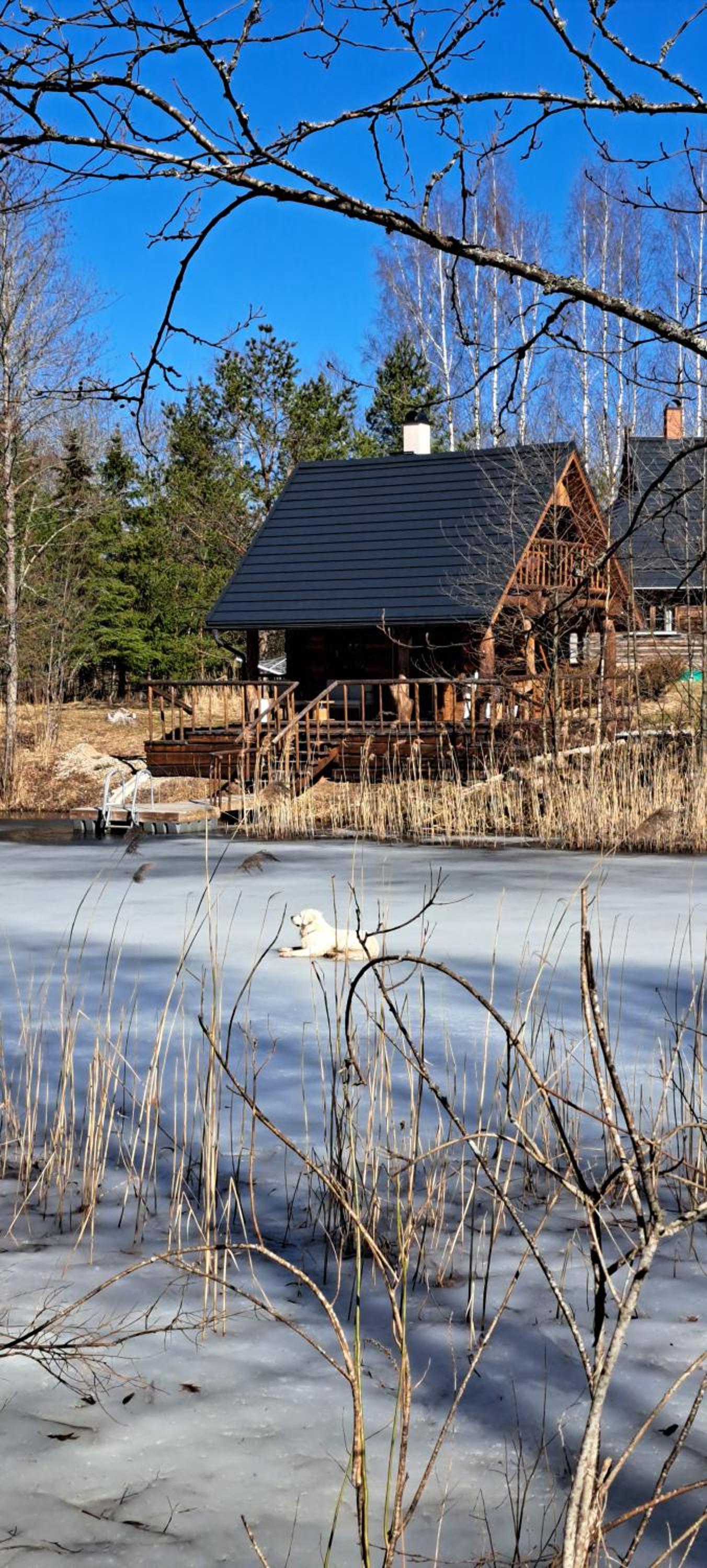 Raistiko sauna cabin / Raistiko saunamaja