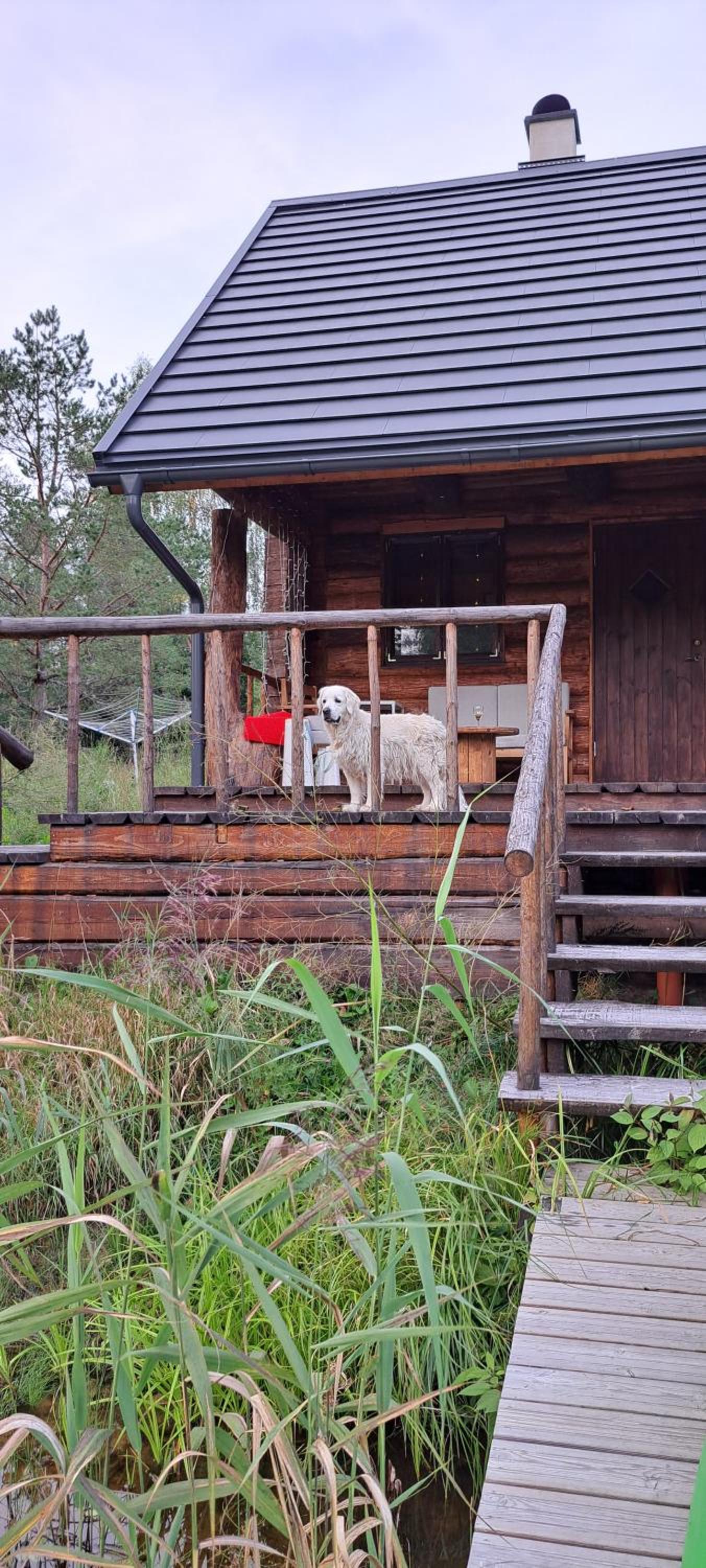 Raistiko sauna cabin / Raistiko saunamaja