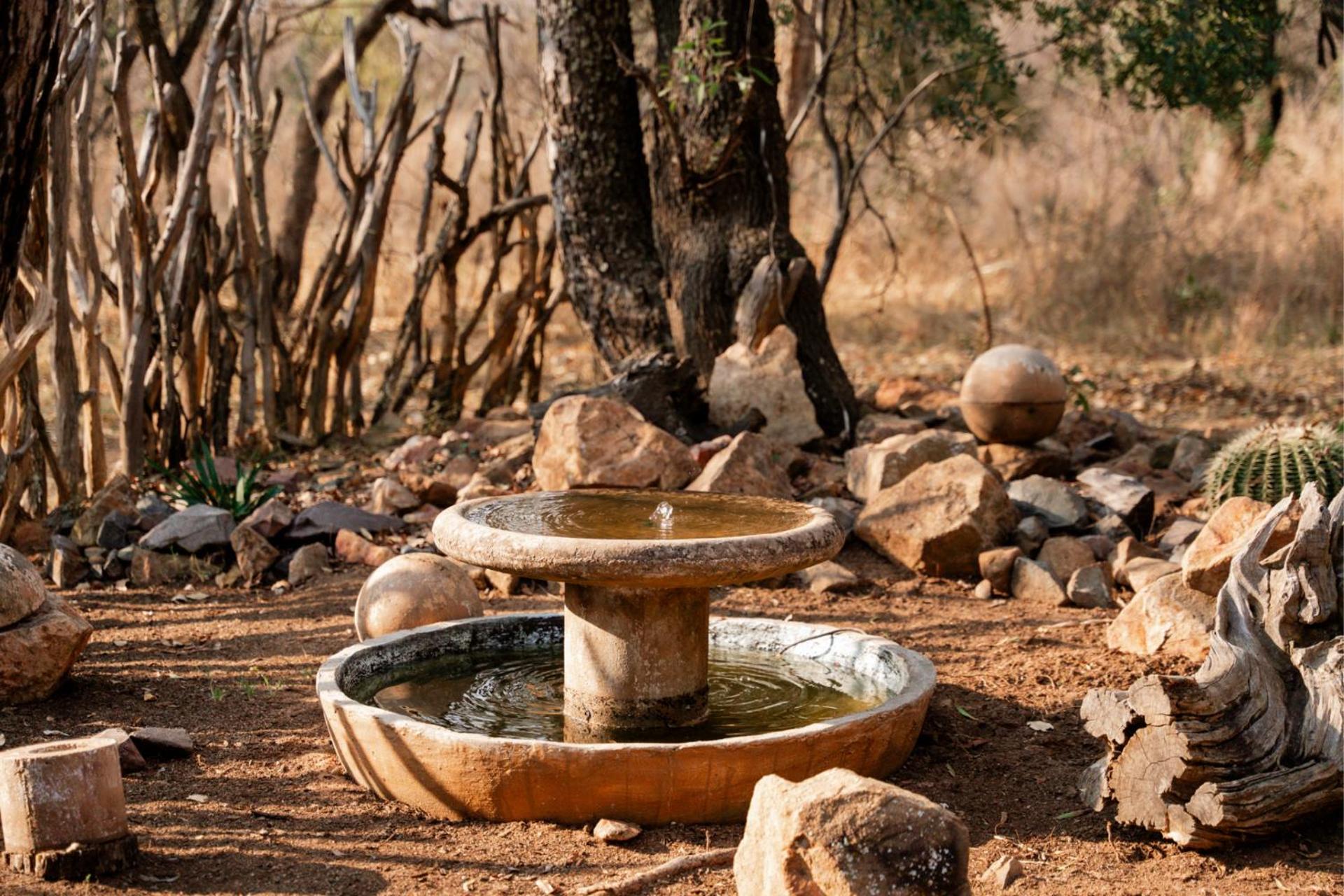 Zebula Bush Lodge 118