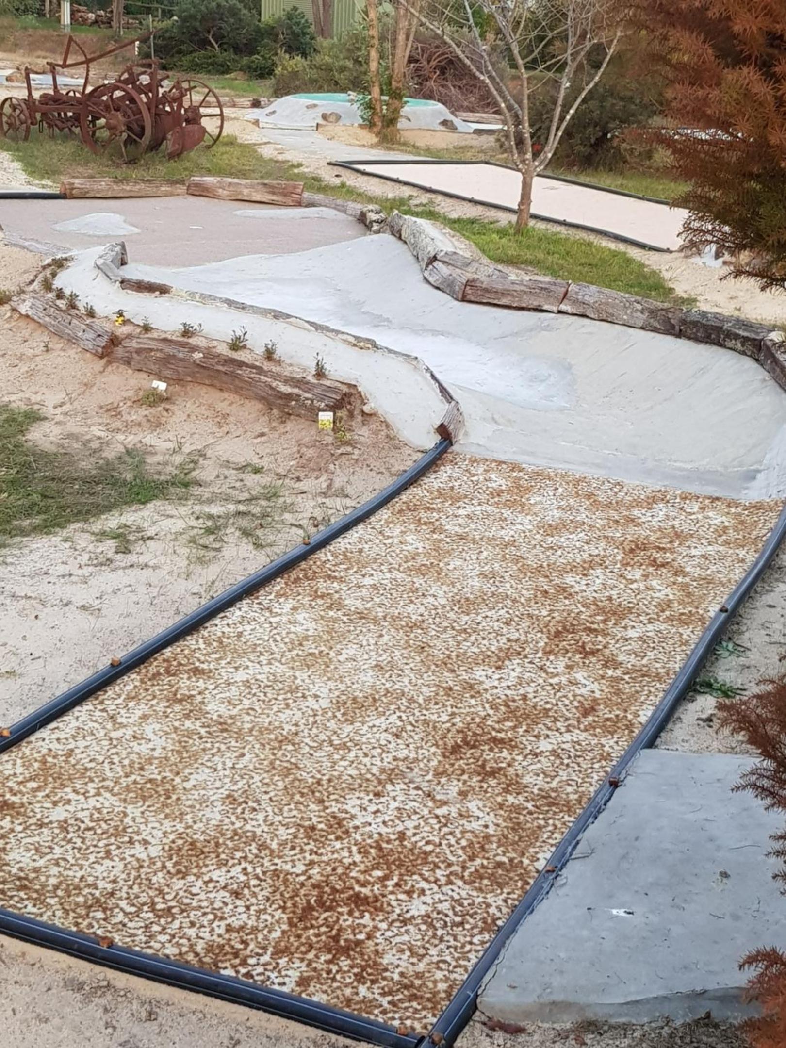Warradale Lodge and Mini Golf