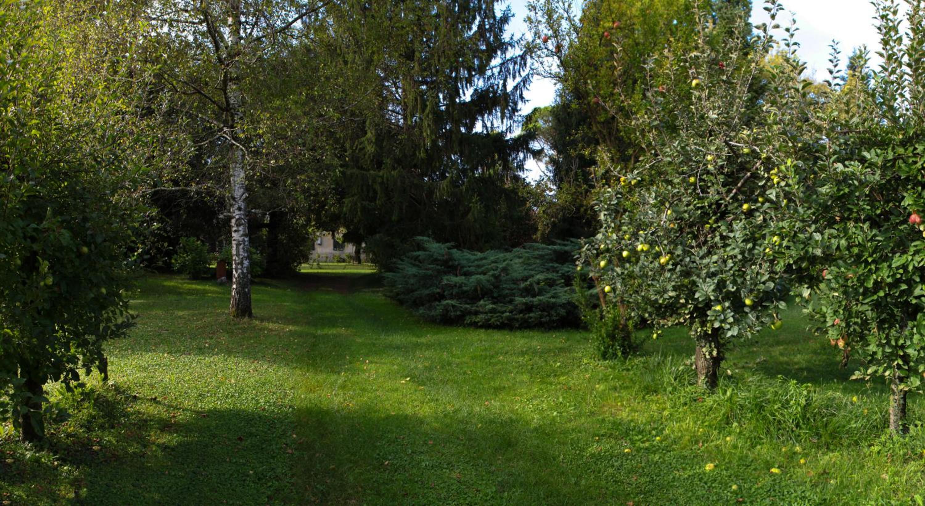 Photo 24