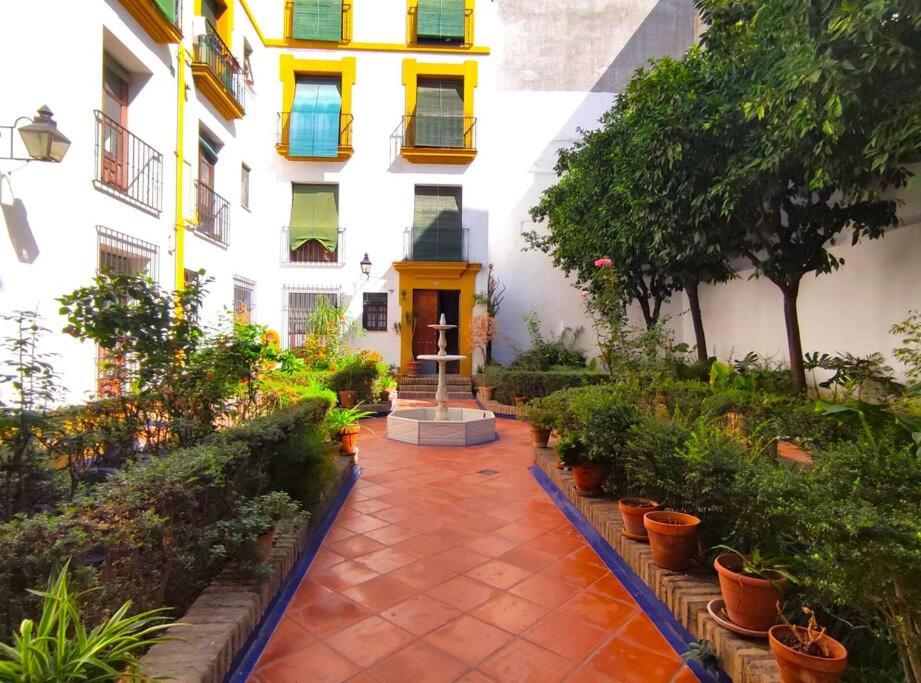 Plaza Cristo de Burgos photo 2