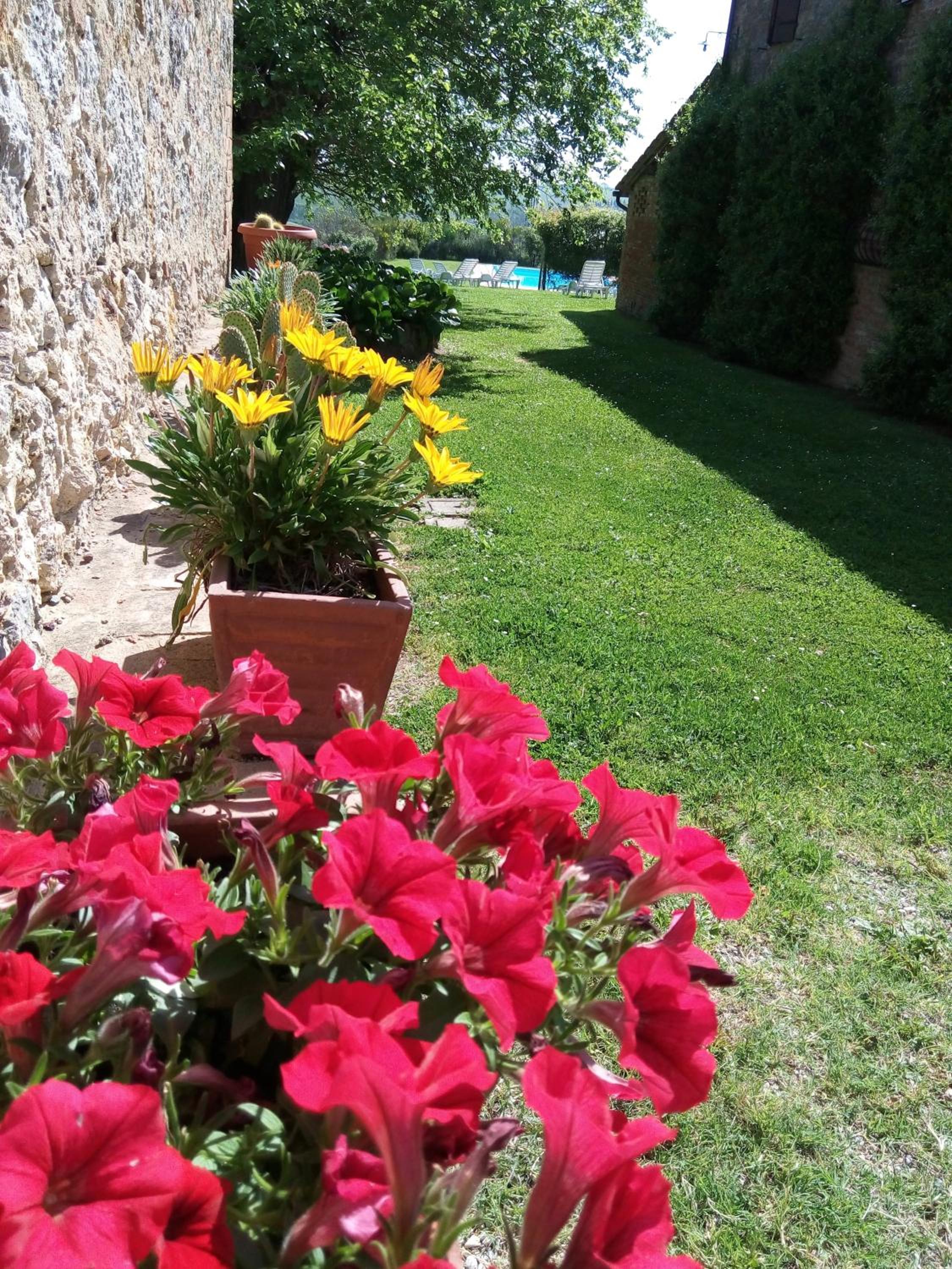 Podere Cartaio Bio Farm, private pool, AirC