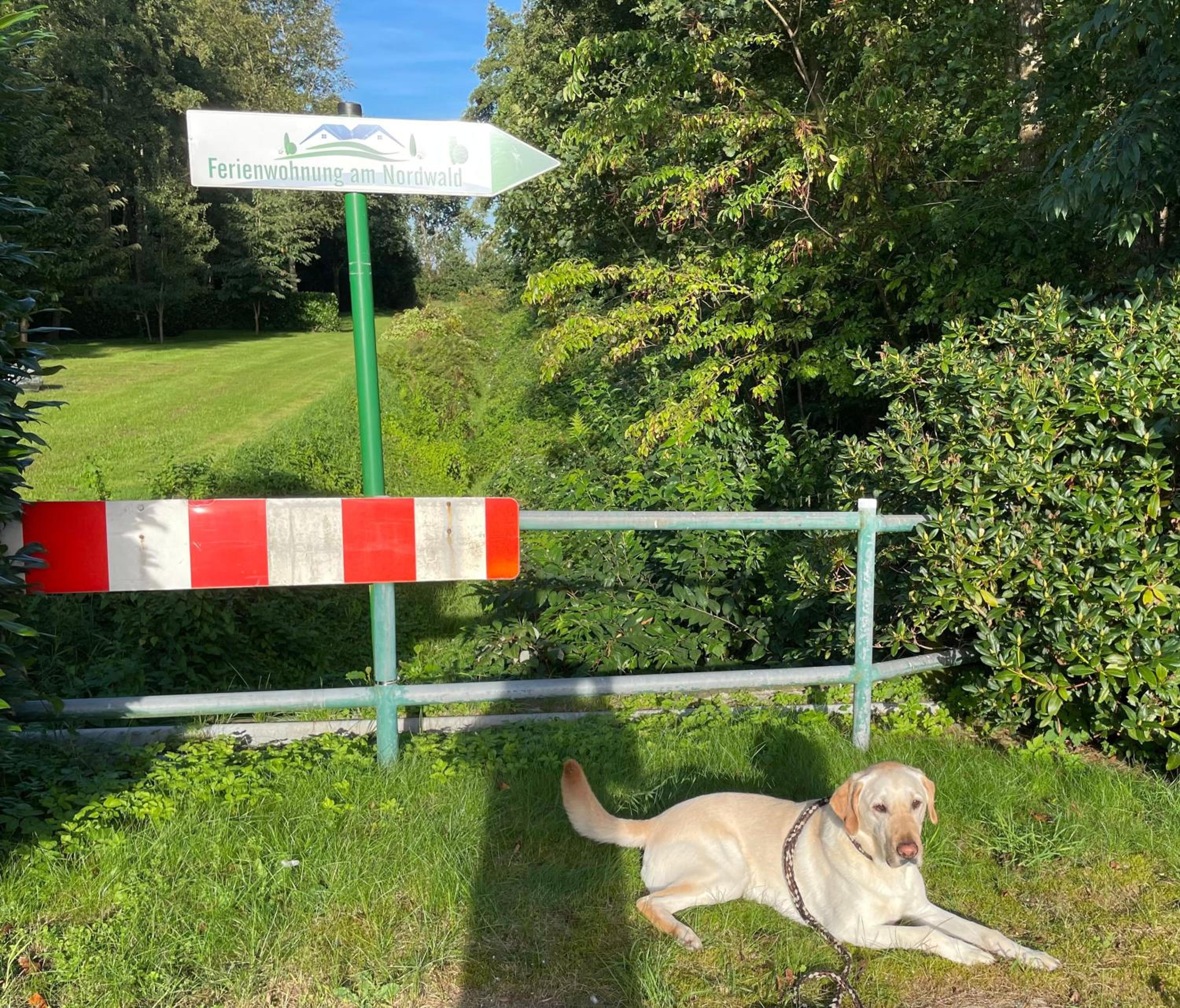 Single-Appartement am Nordwald, Saterland