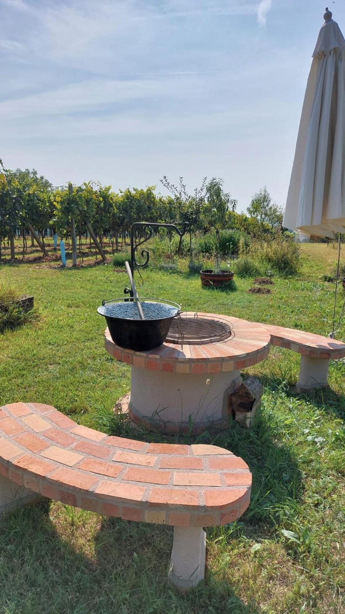 Újhegy Apartman