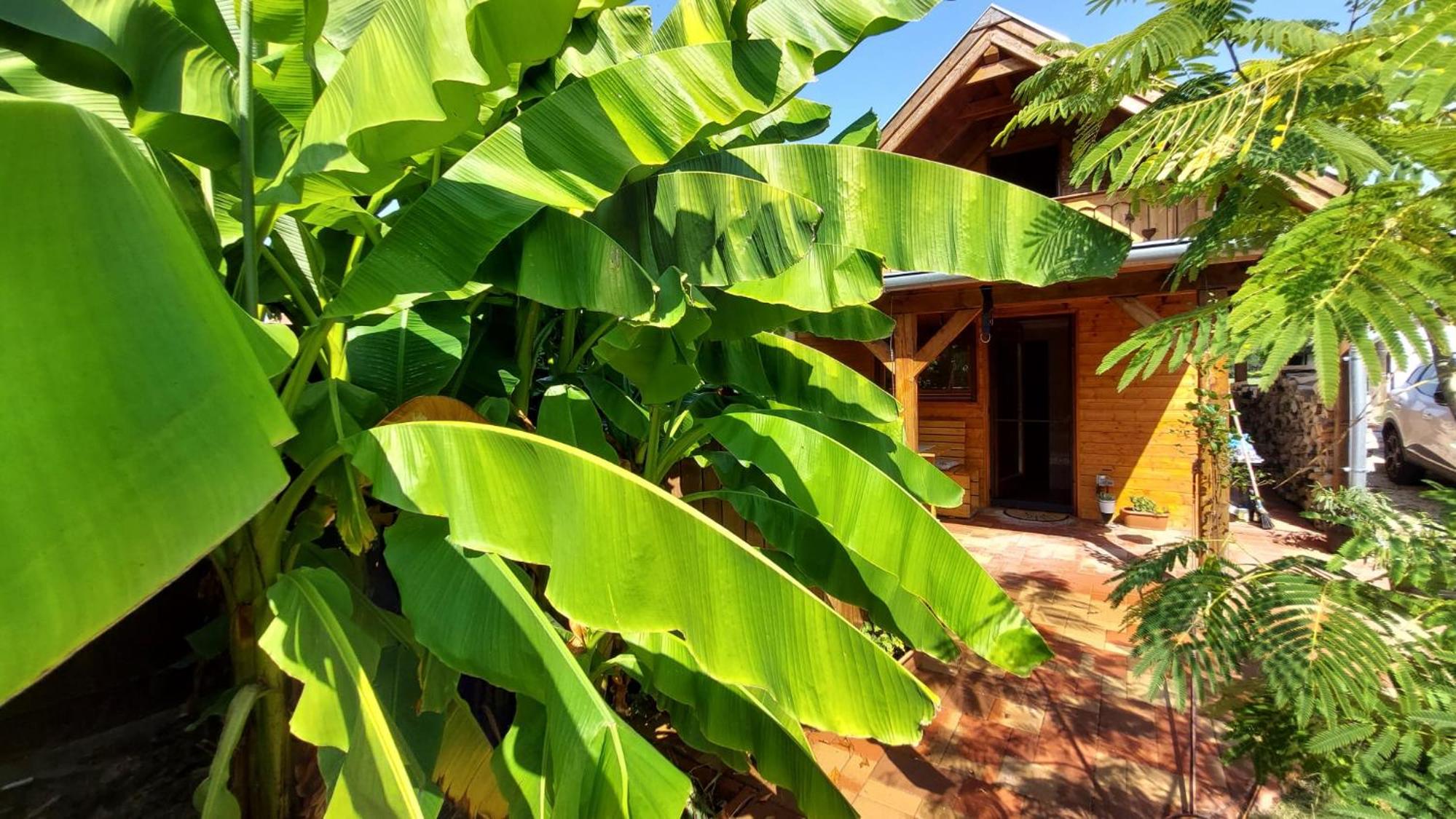 Újhegy Apartman