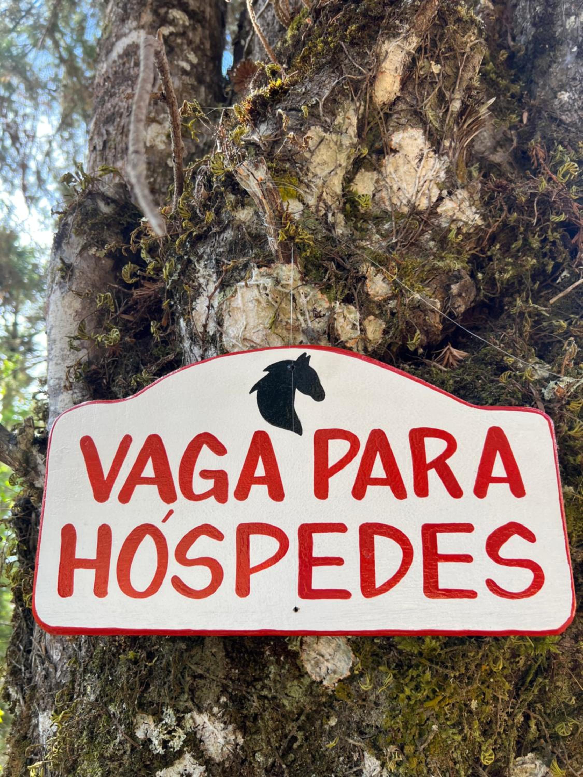 Zatara's Lodge - Monte Verde MG