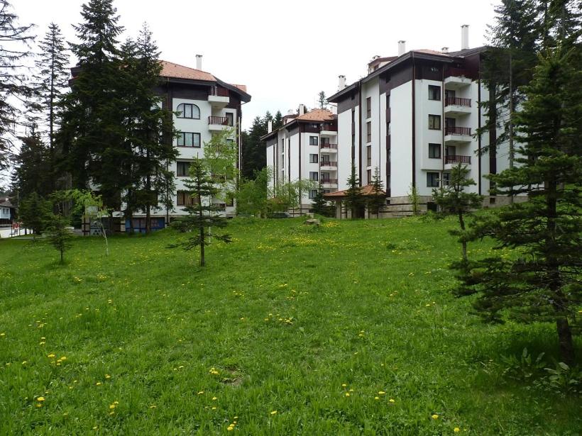 Spacious Two bedroom apartment in Flora Residence Tulip 12
