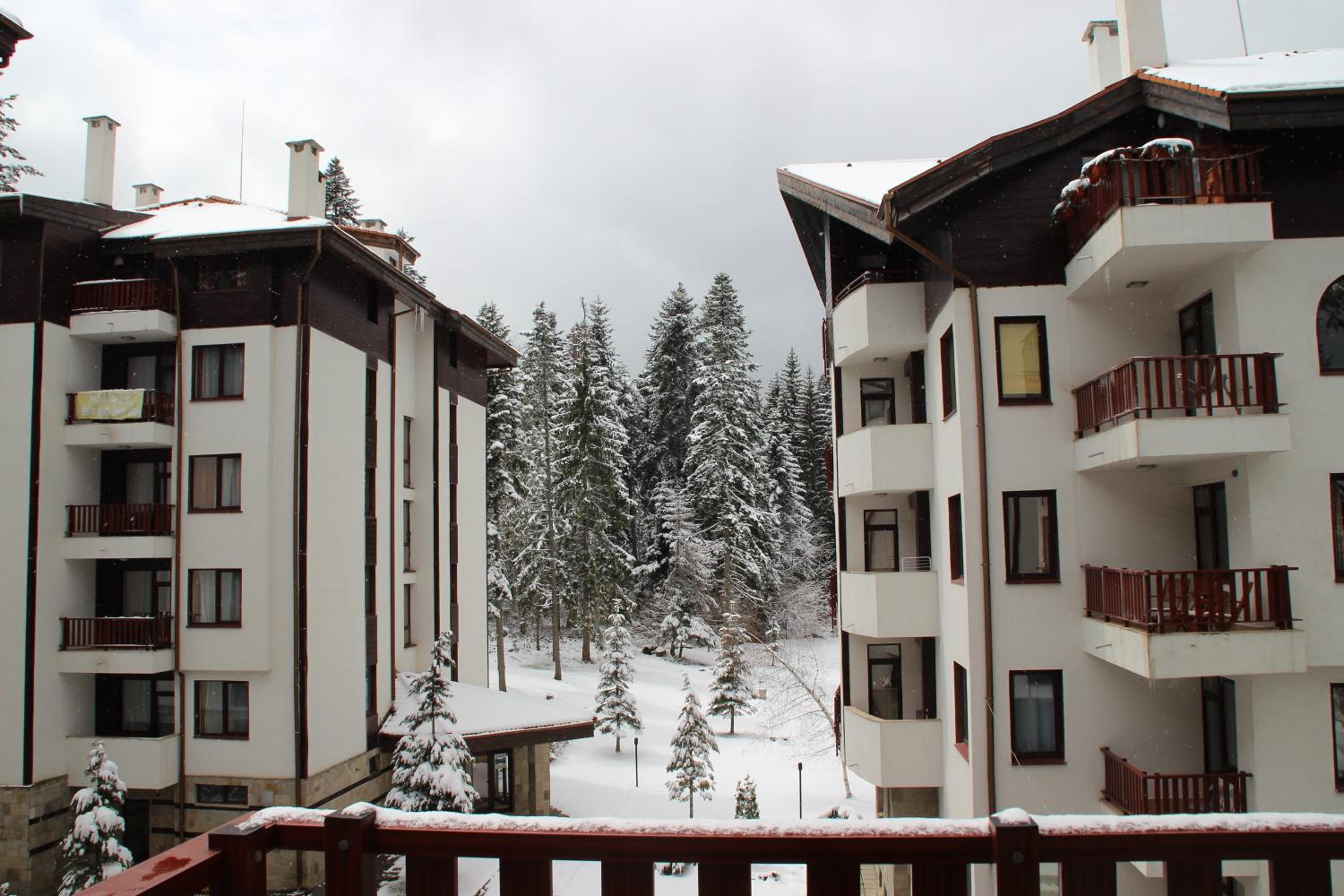 Spacious Two bedroom apartment in Flora Residence Tulip 12