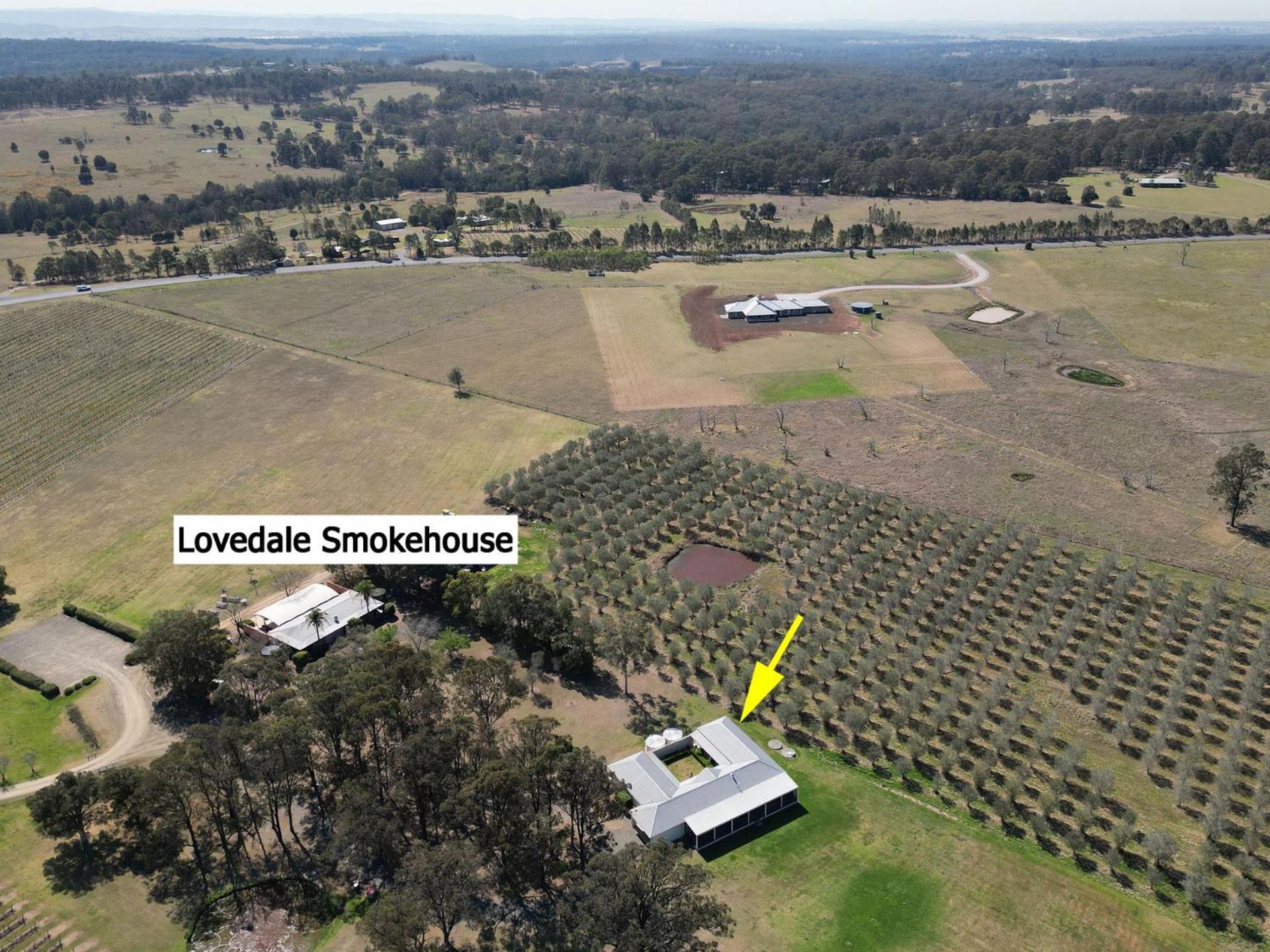 Olives and Vines at Majors Lane