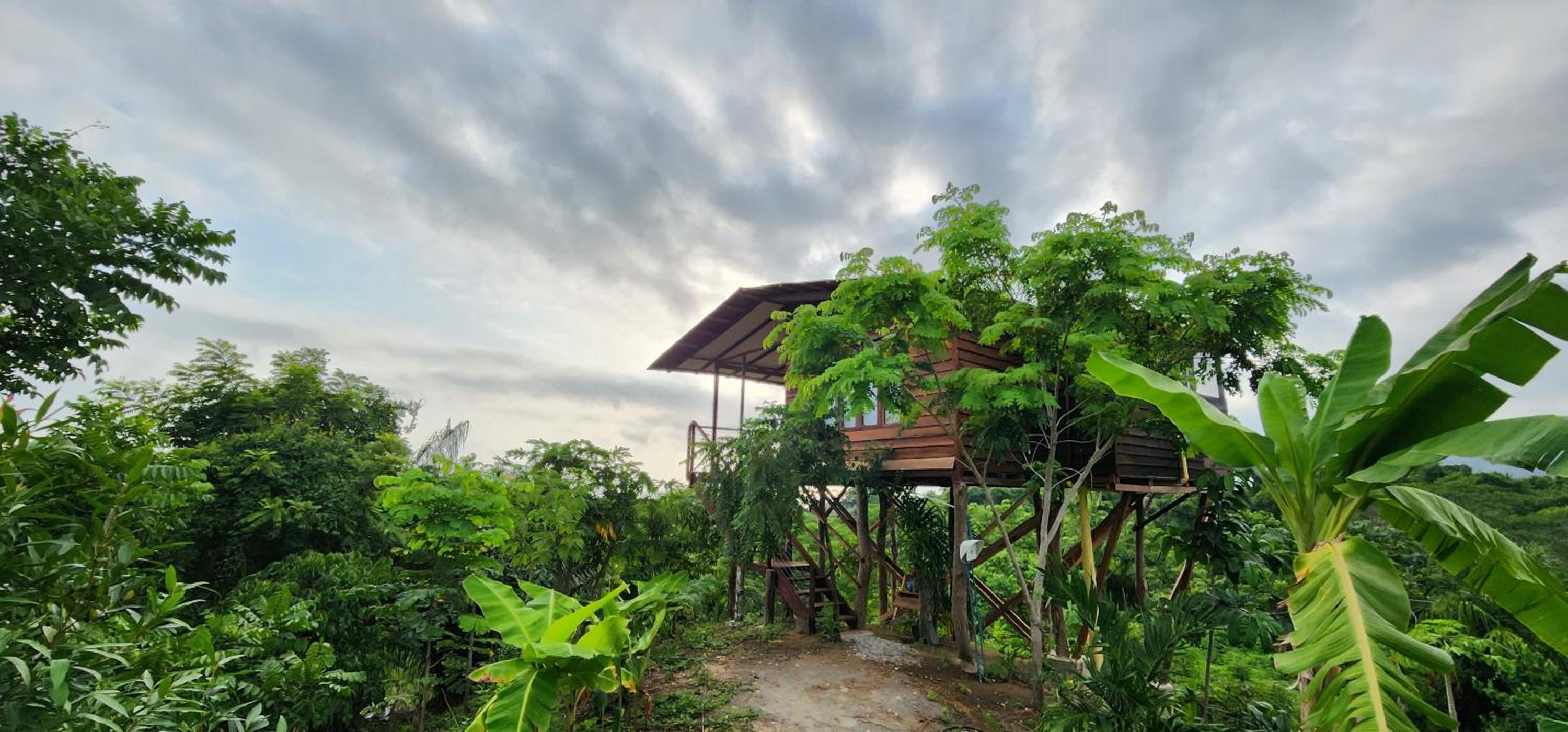 La Casita del Bosque