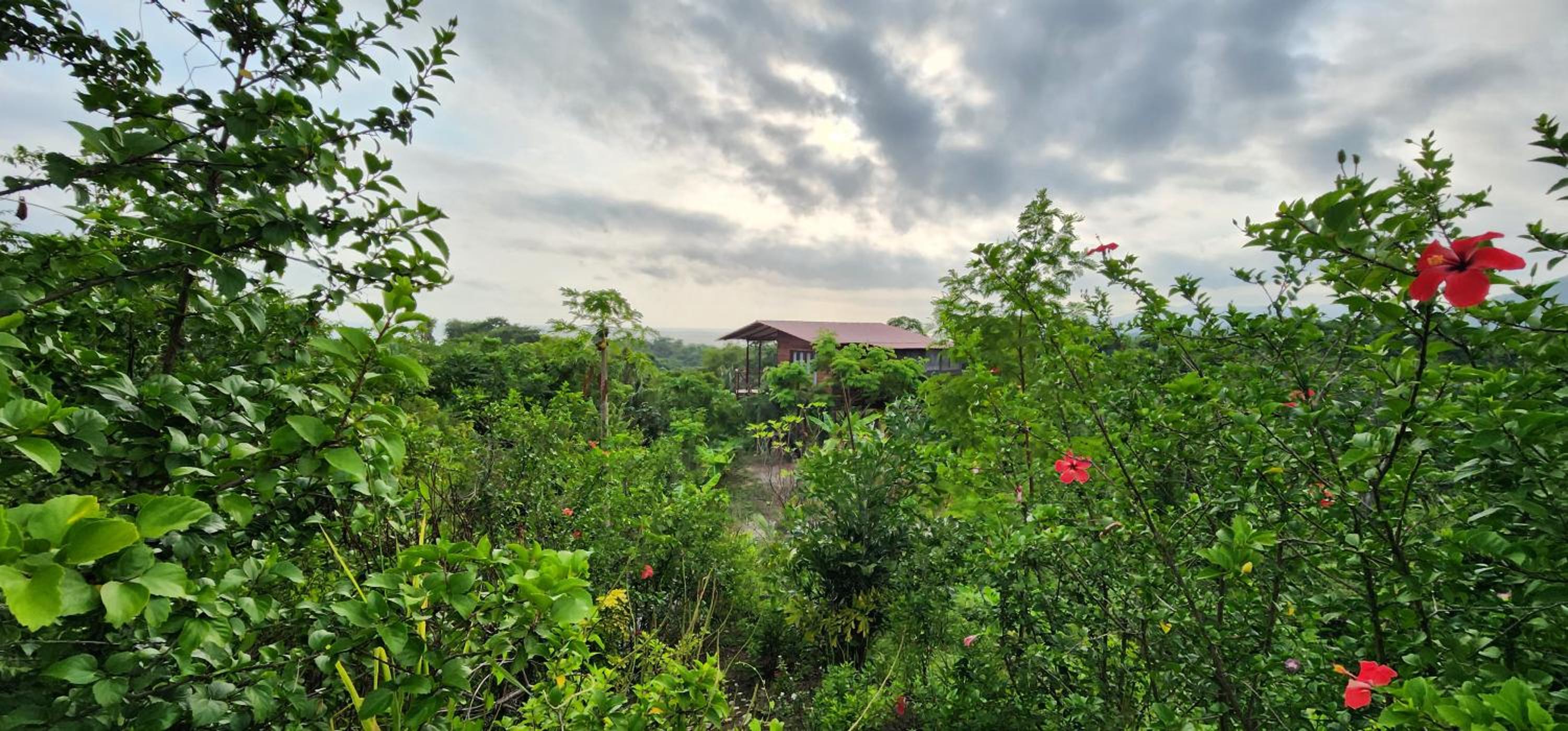 La Casita del Bosque