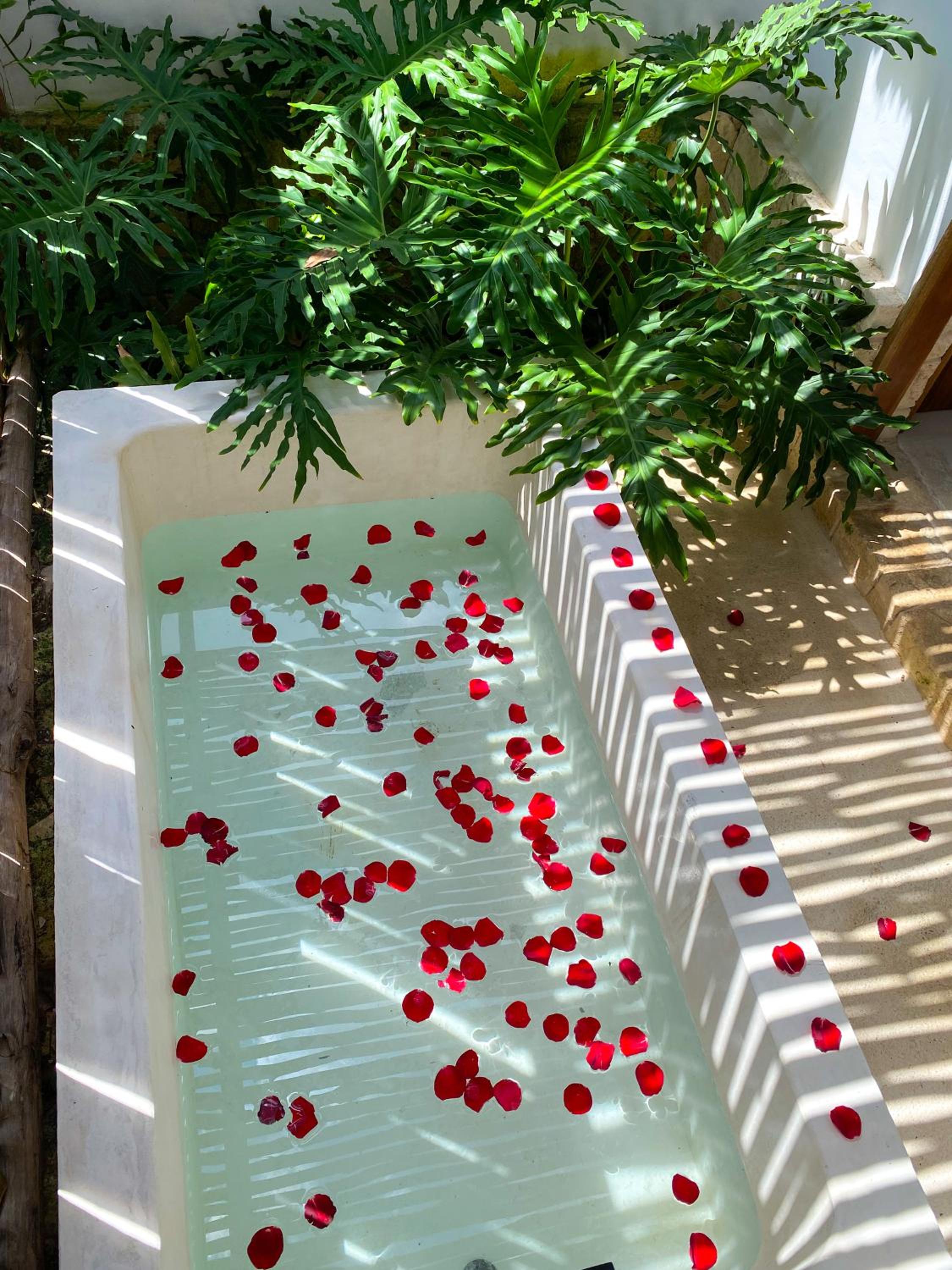 Casa Laila Cozy House in Bacalar Center