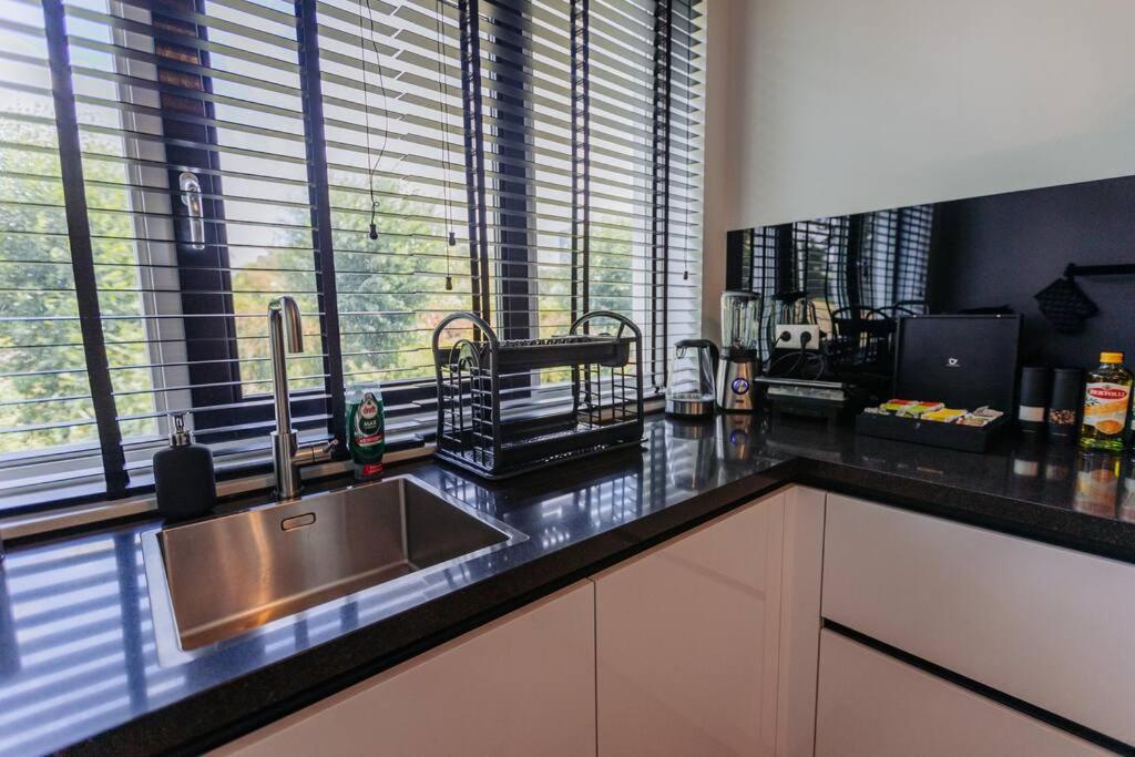 Brand new luxurious 6 bedroom villa in Amsterdam