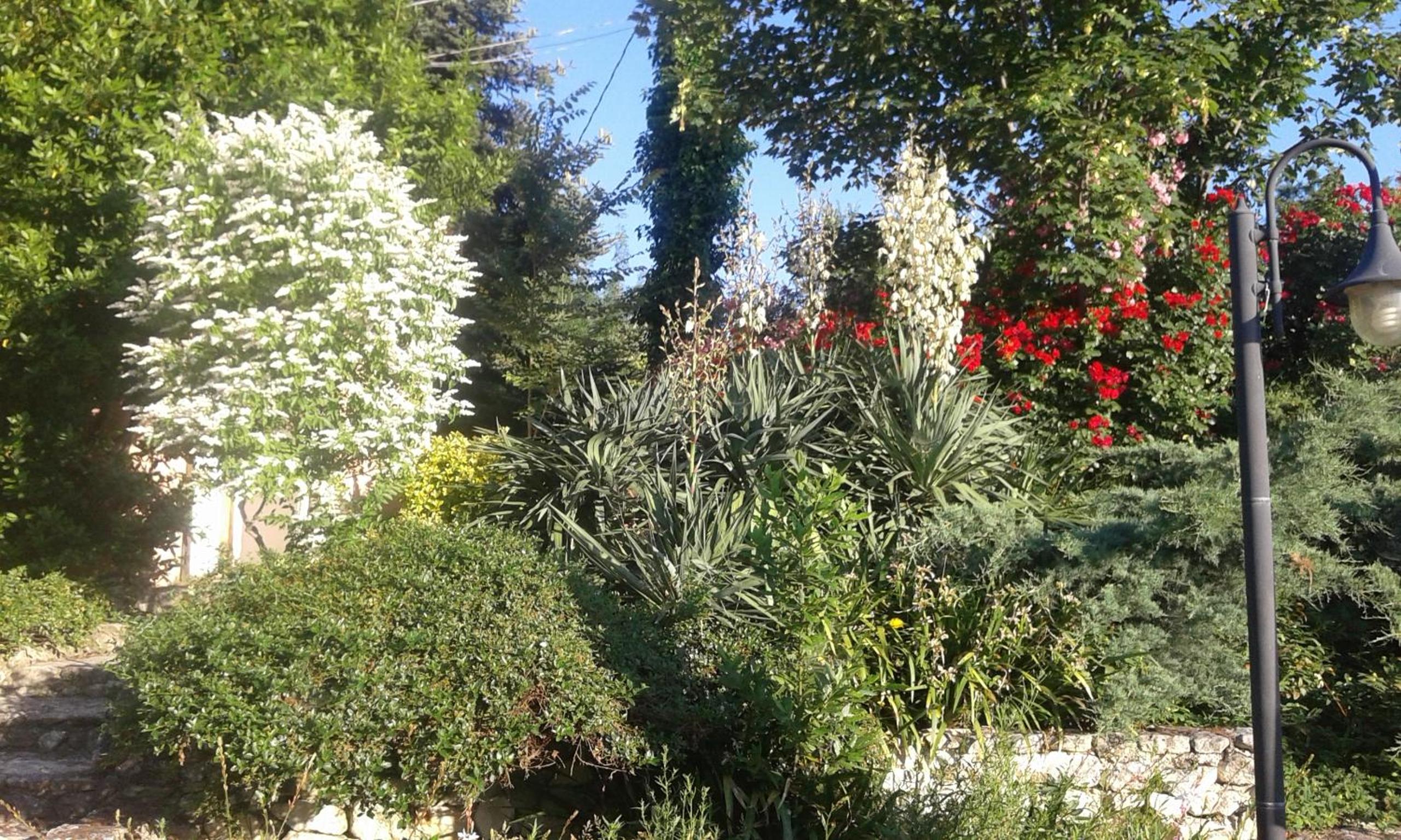 Photo 24