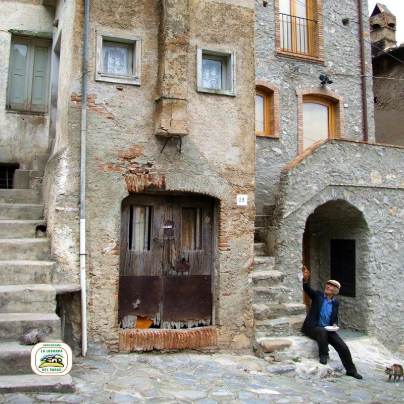 Photo 31