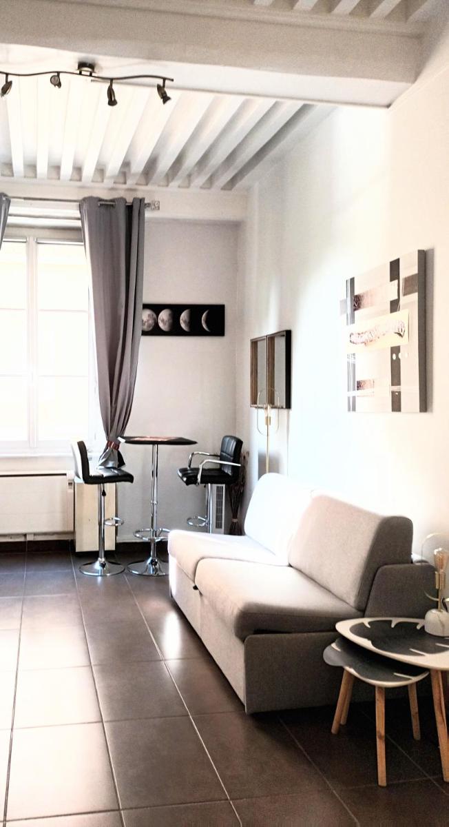Nest in heart of Lyon view 4