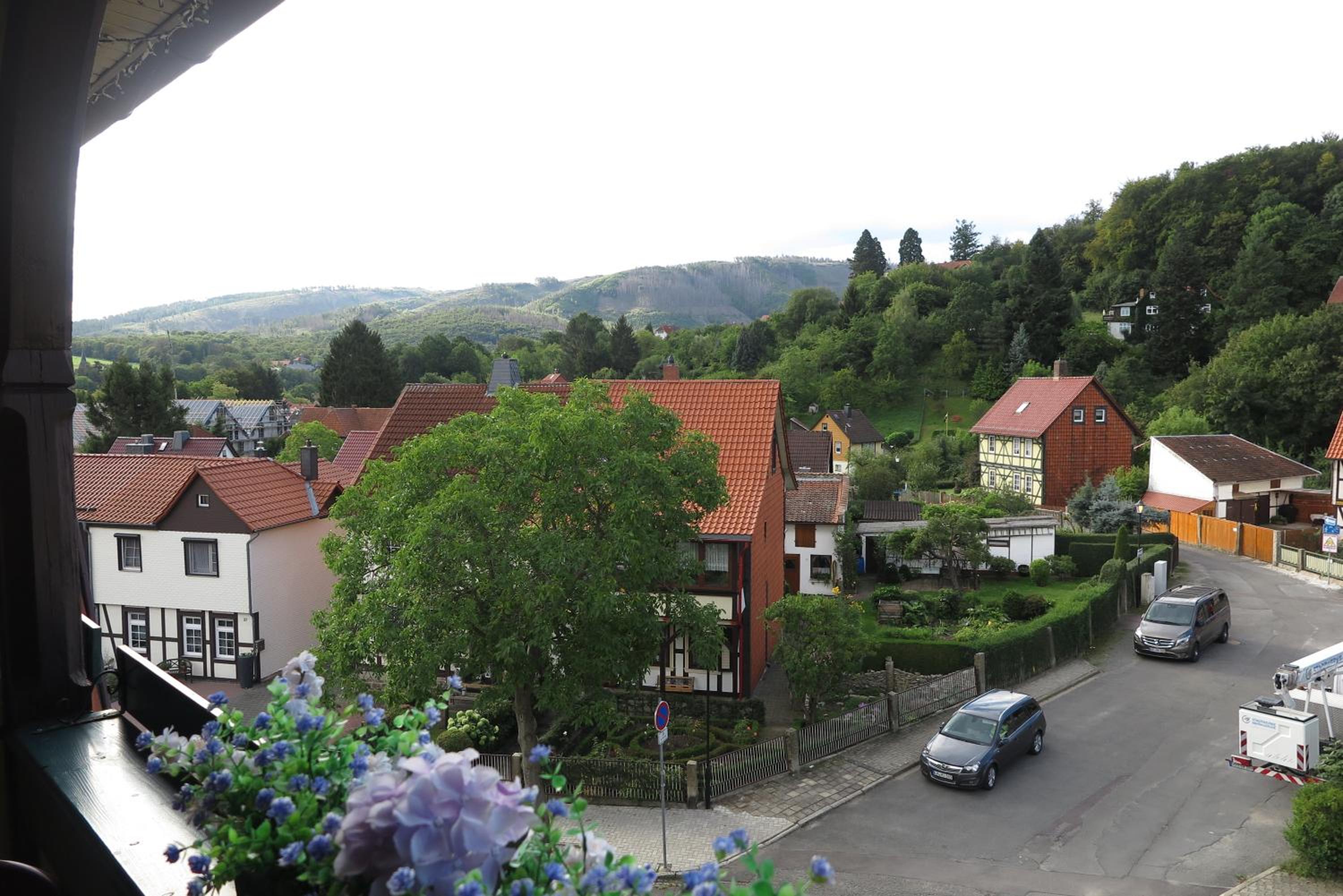 FeWo in Ilsenburg Waldblick, schöne Aussicht