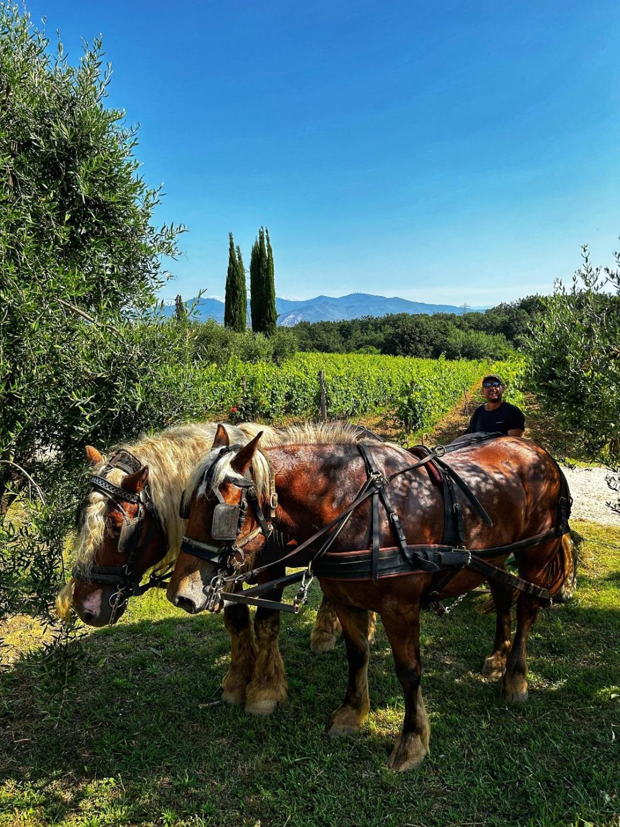Agriturismo Gli Archi