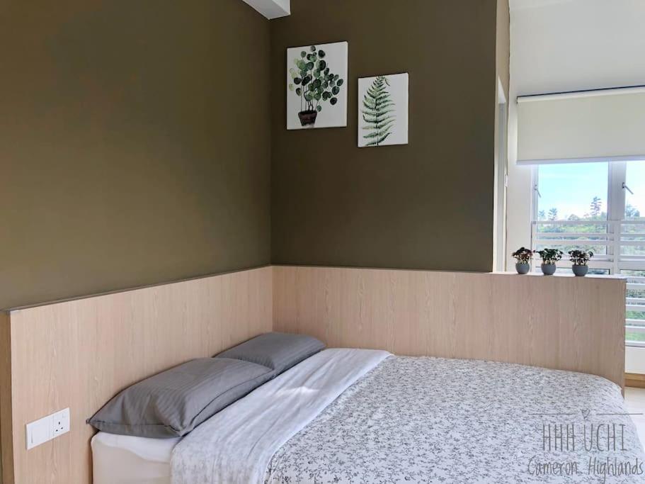 Uchi Home Sweet Home^_^ photo 4