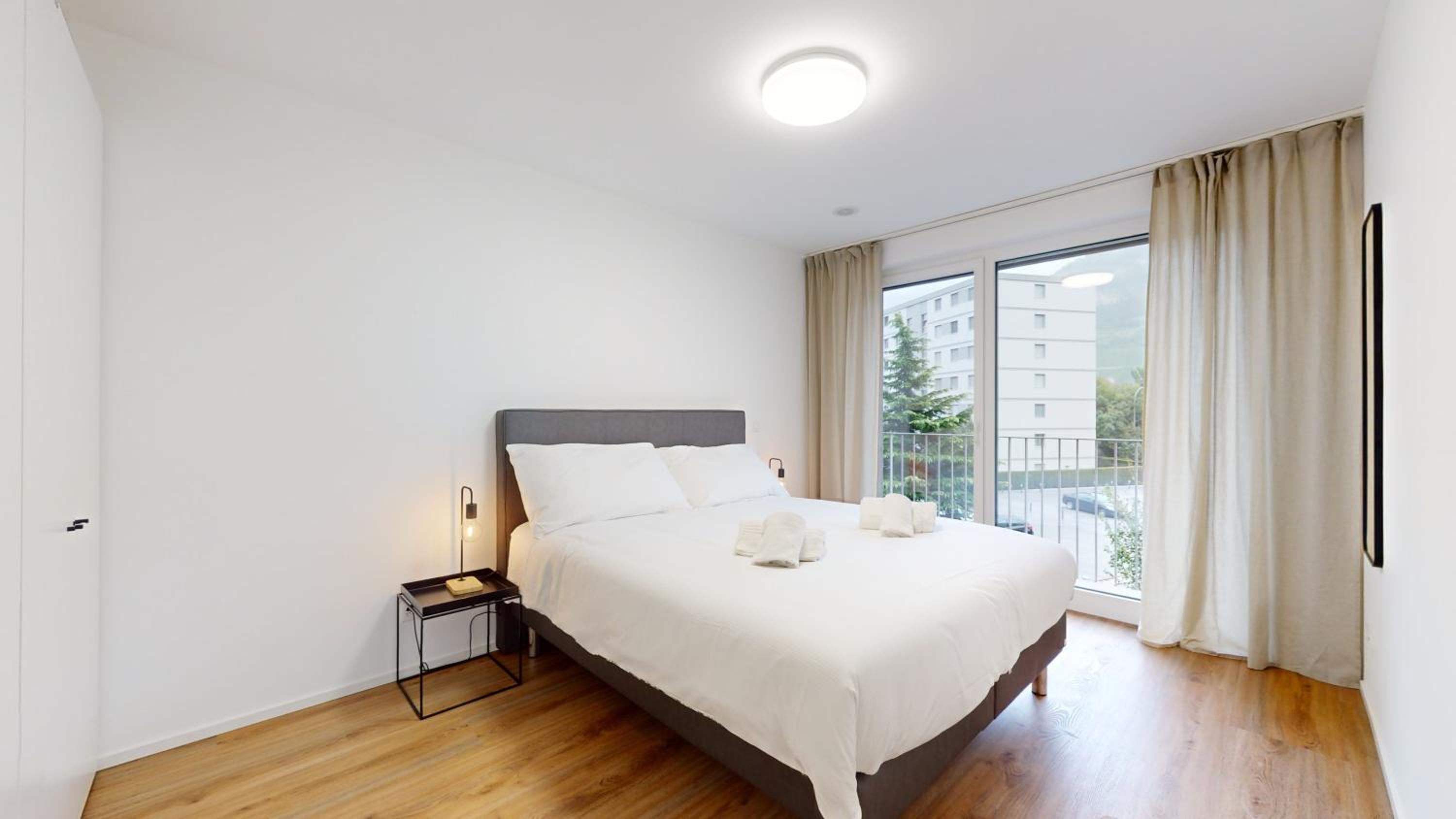 Bright & modern apartments in Sion