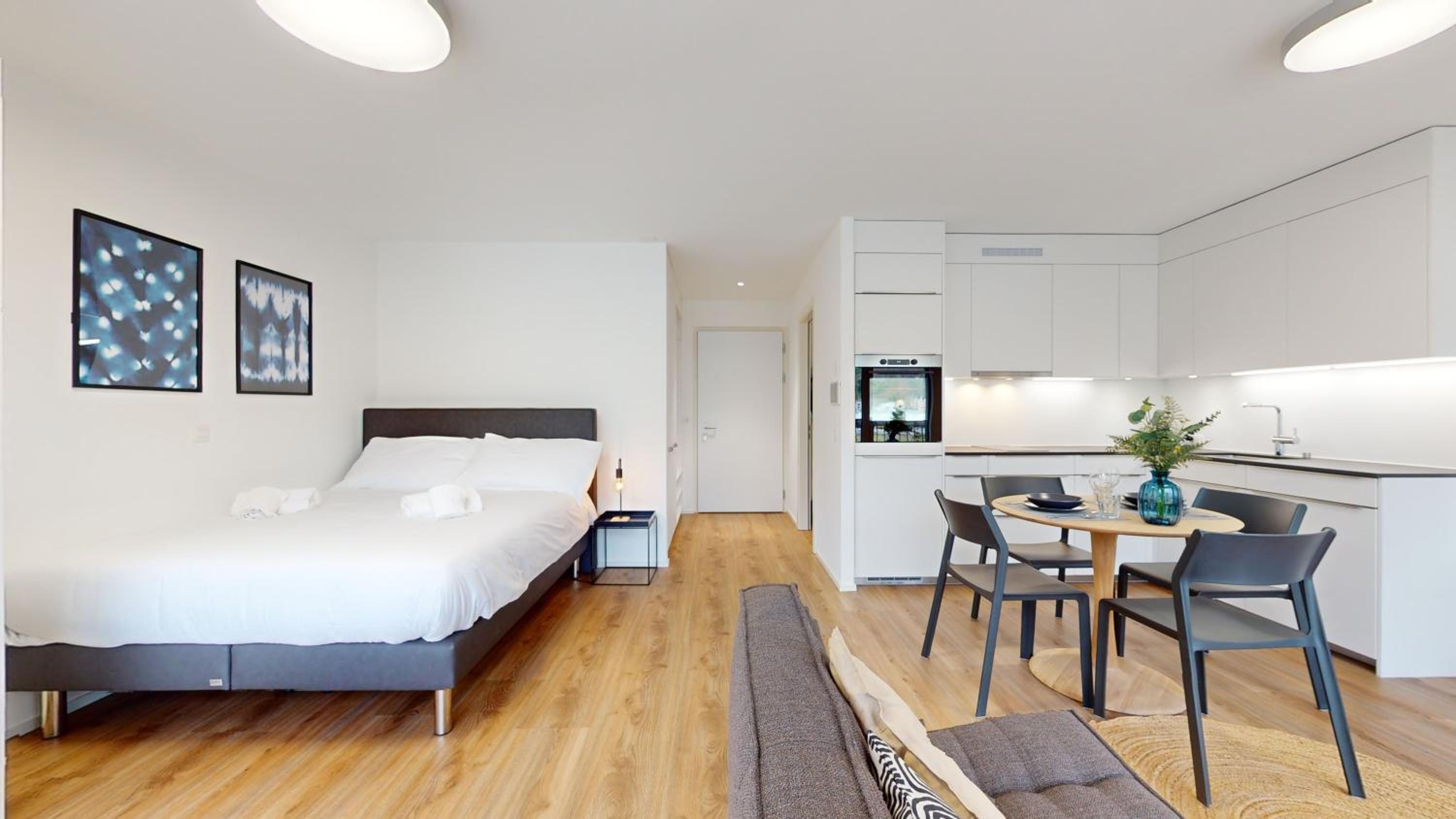 Bright & modern apartments in Sion