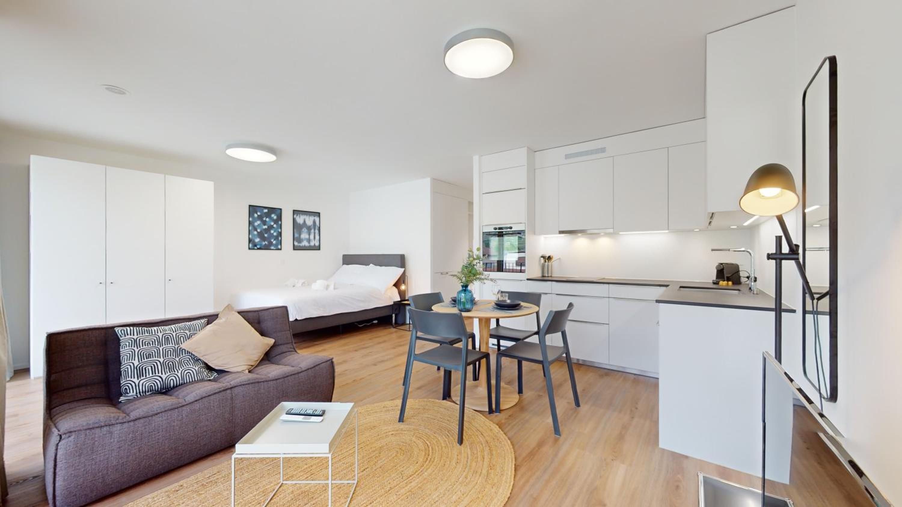Bright & modern apartments in Sion