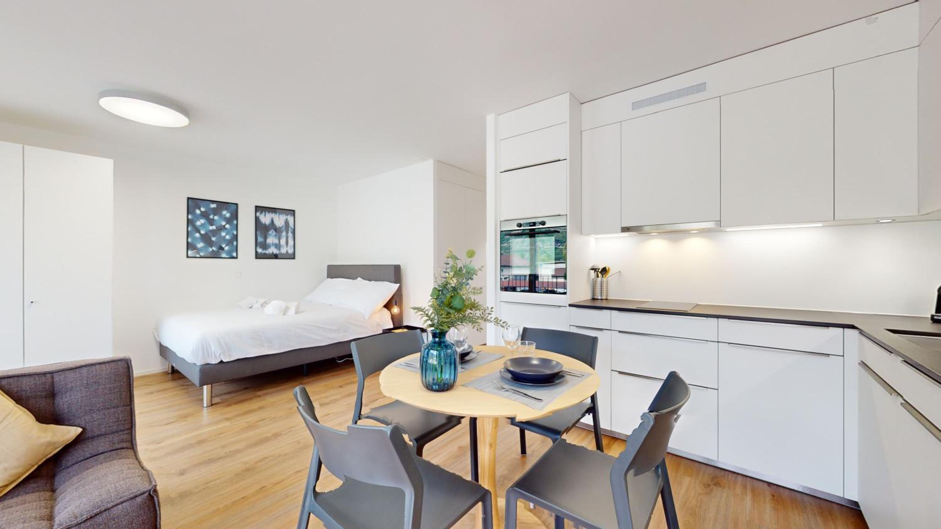 Bright & modern apartments in Sion