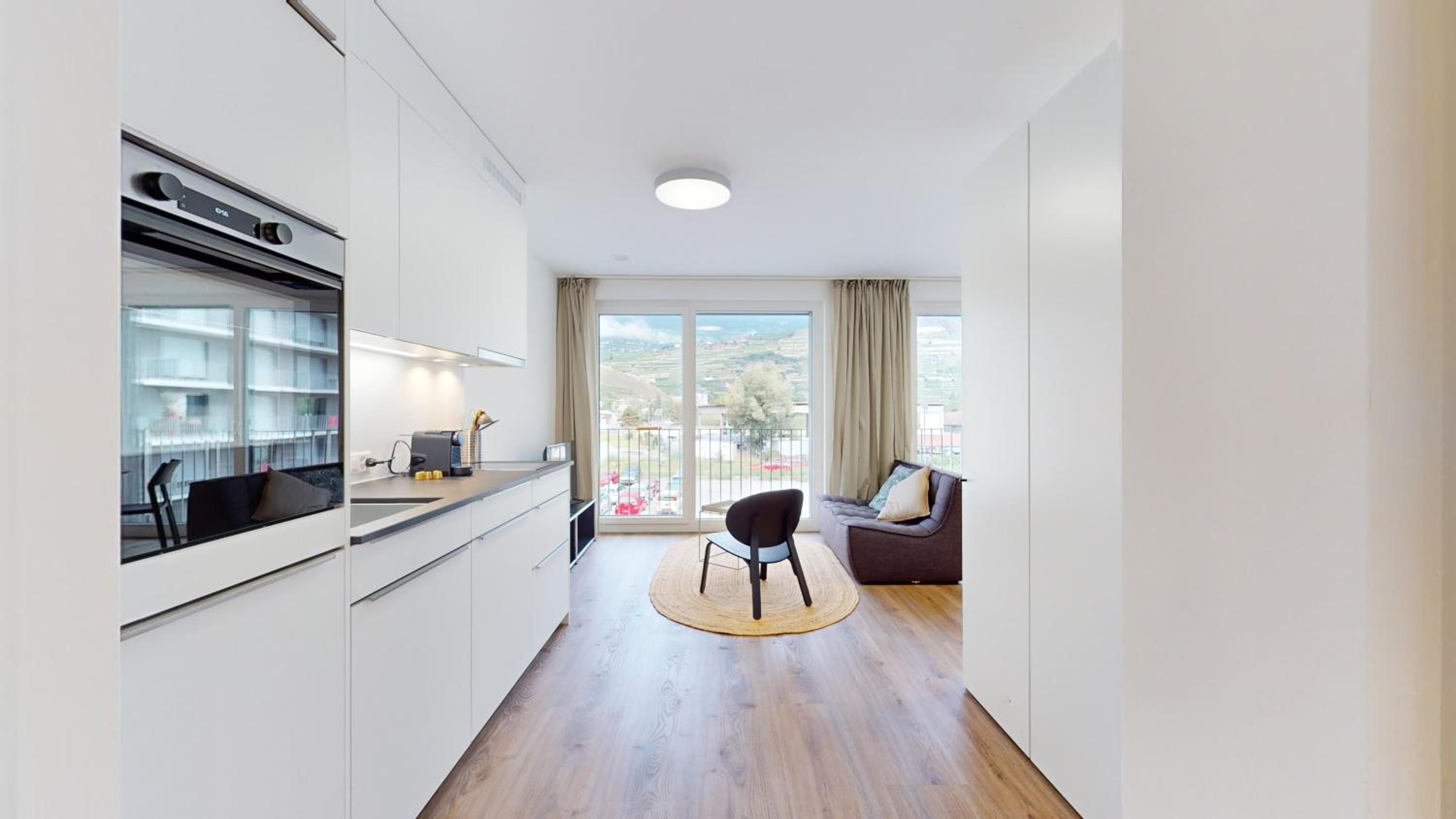 Bright & modern apartments in Sion