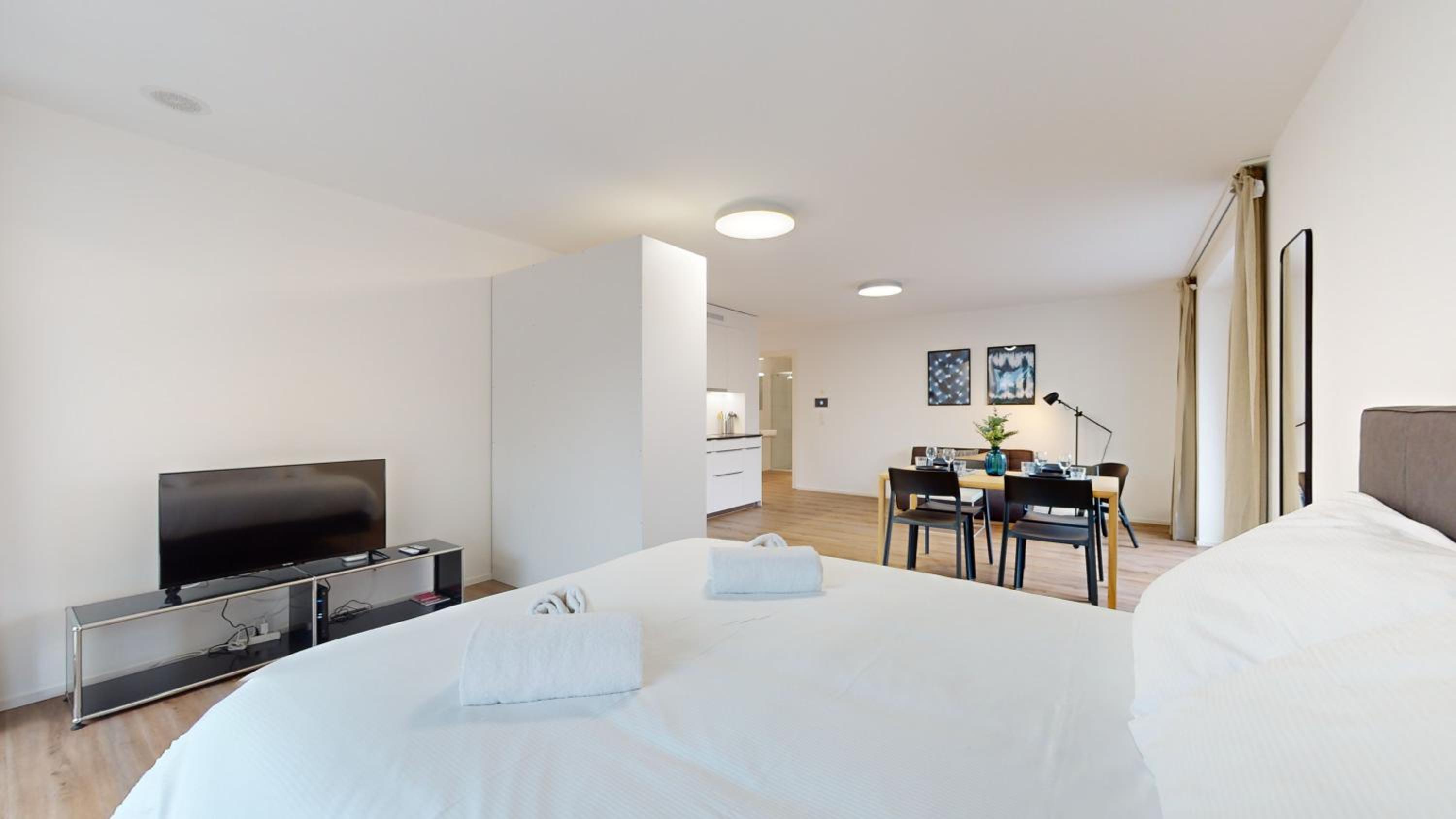 Bright & modern apartments in Sion